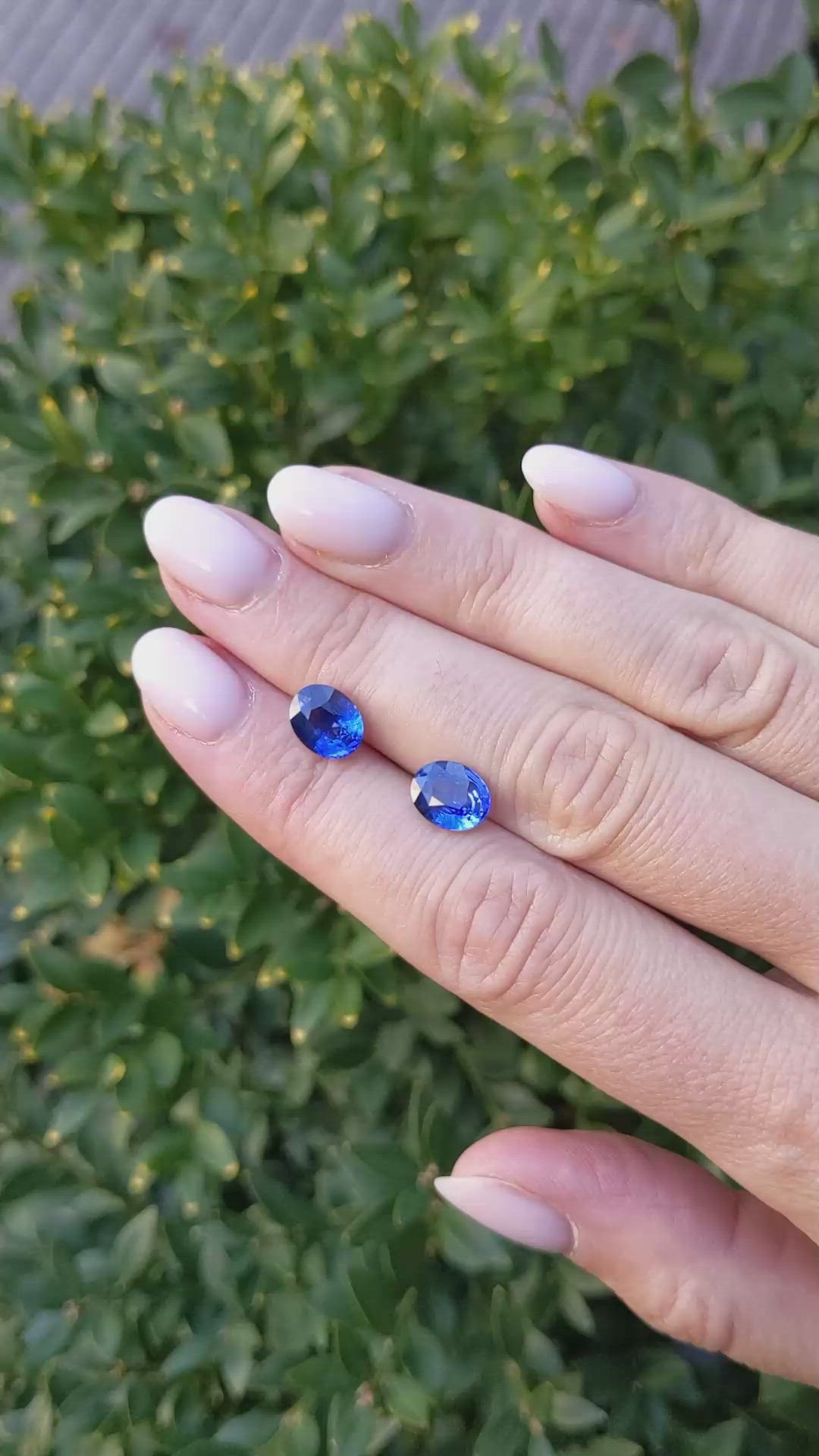 4.11 Ct.Tw.Total Carat Weight Blue Sapphire Pair from Ceylon (Sri Lanka) Size Video