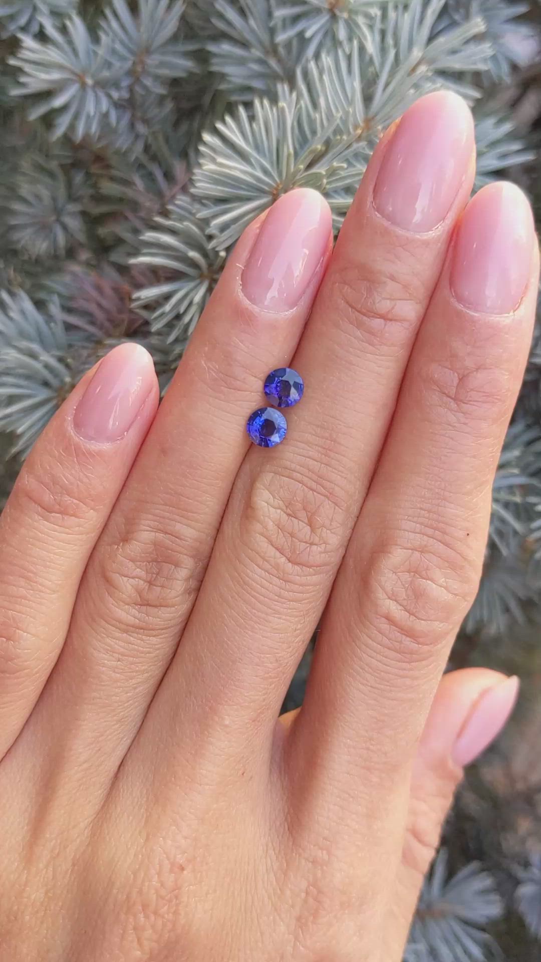 1.00&nbsp;Ct.Tw.Total Carat Weight Blue Sapphire Pair from Ceylon (Sri Lanka) Size Video