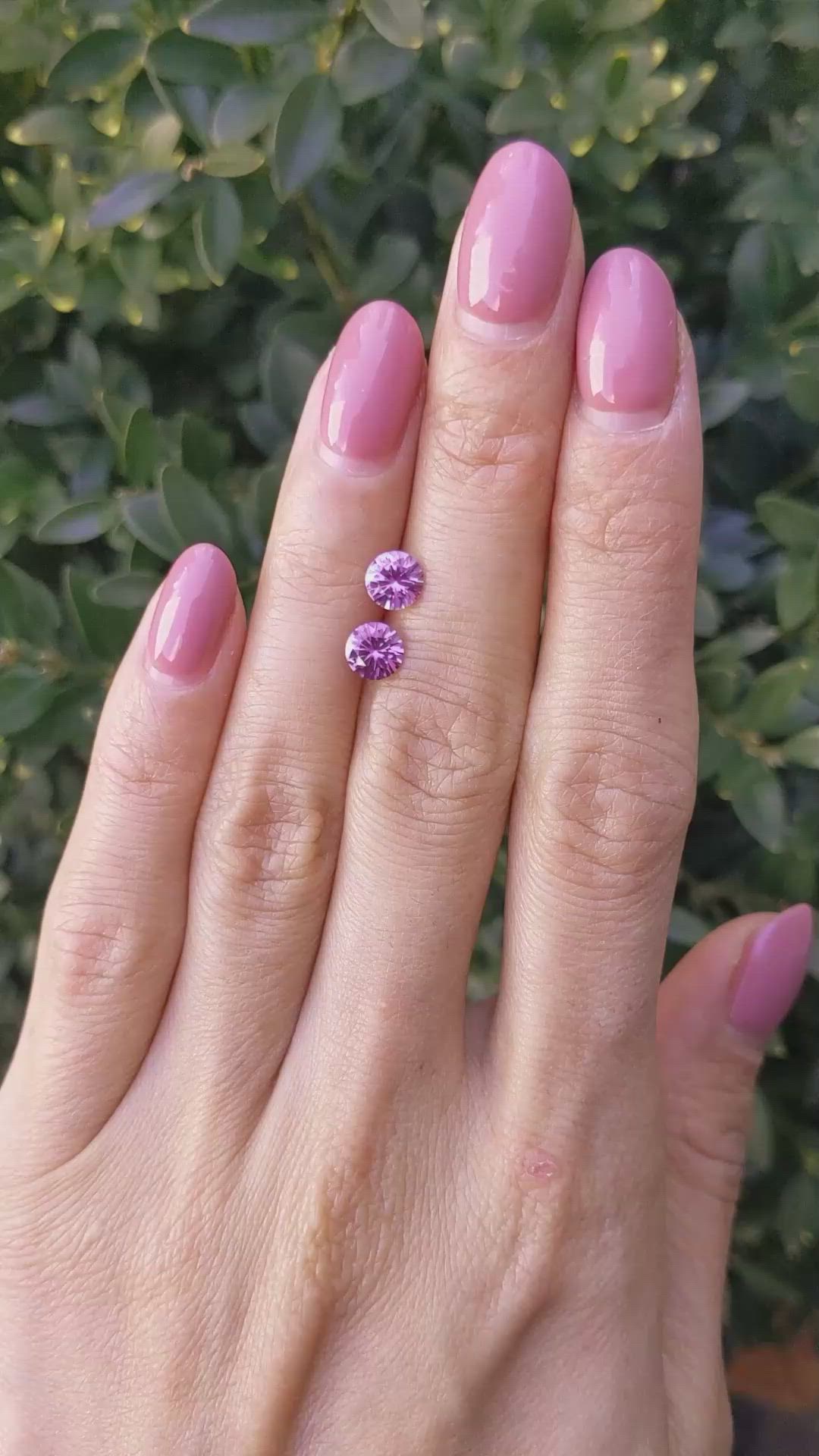 1.53&nbsp;Ct.Tw.Total Carat Weight Purplish Pink Sapphire Pair from Ceylon (Sri Lanka) Size Video