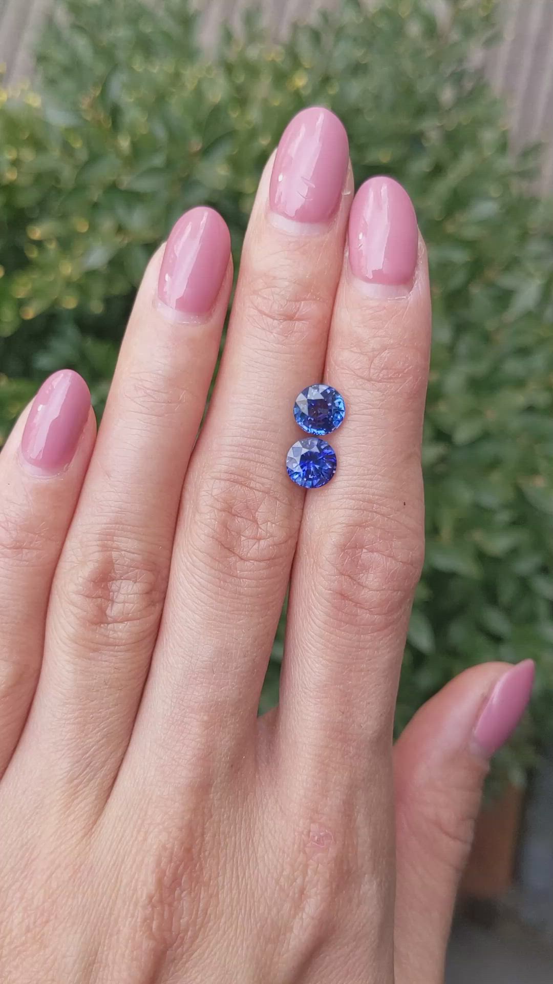3.60 Ct.Tw.Total Carat Weight Blue Sapphire Pair from Ceylon (Sri Lanka) Size Video