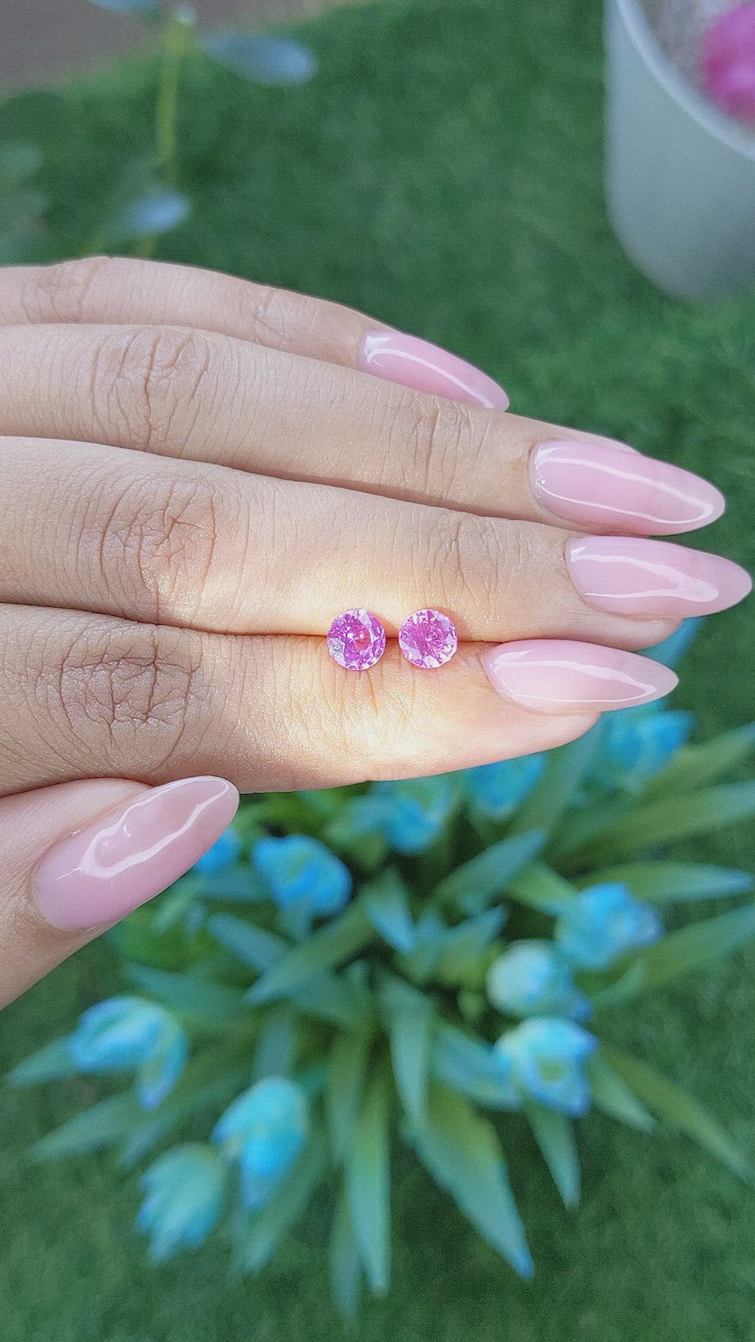 1.43&nbsp;Ct.Tw.Total Carat Weight Pink Sapphire Pair from Ceylon (Sri Lanka) Size Video