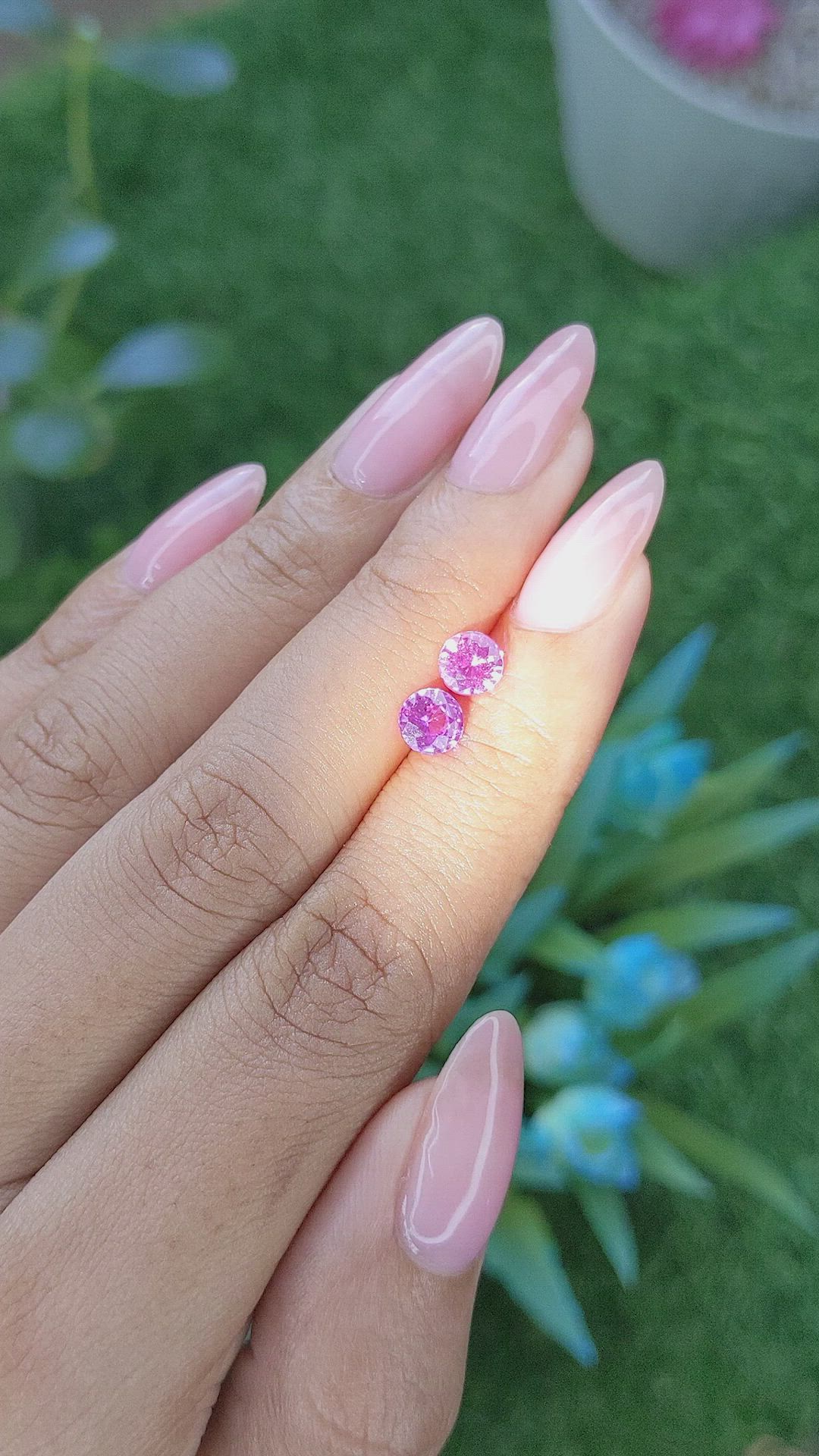 1.43&nbsp;Ct.Tw.Total Carat Weight Pink Sapphire Pair from Ceylon (Sri Lanka) Size Video