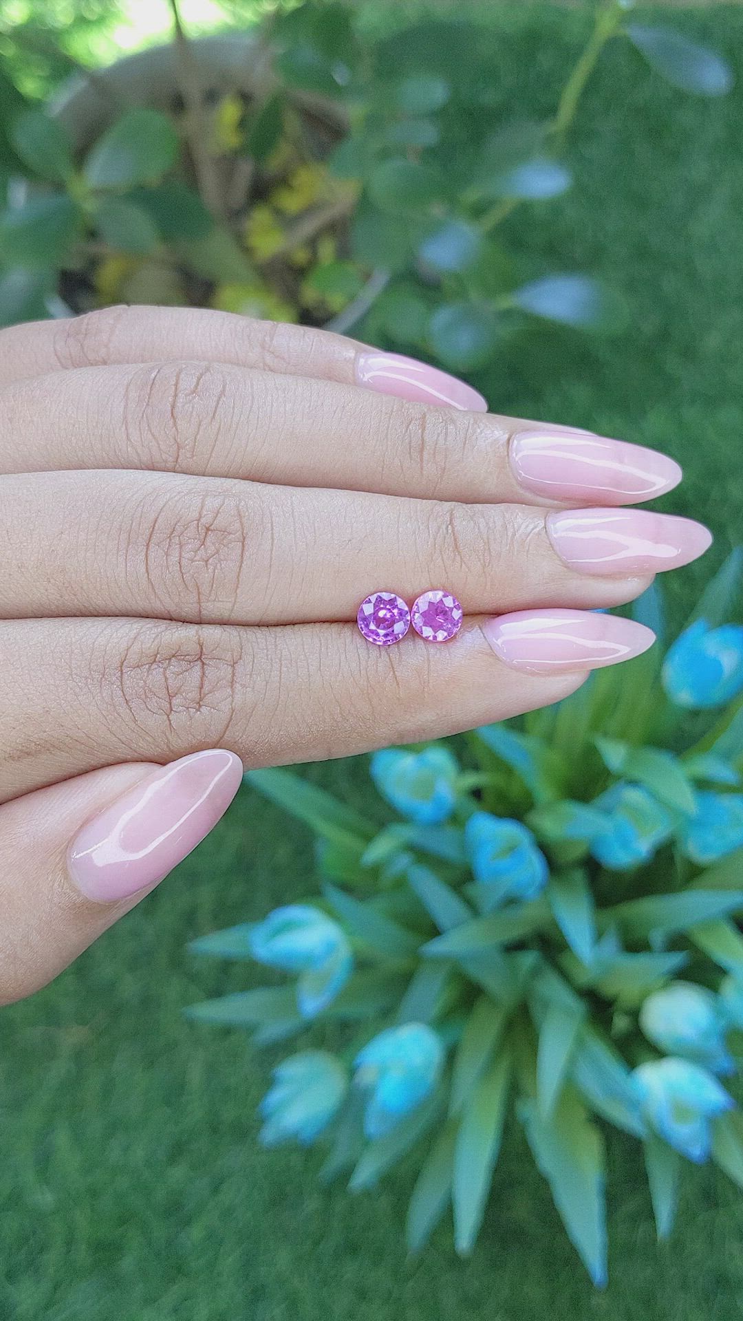 1.43&nbsp;Ct.Tw.Total Carat Weight Pink Sapphire Pair from Ceylon (Sri Lanka) Size Video