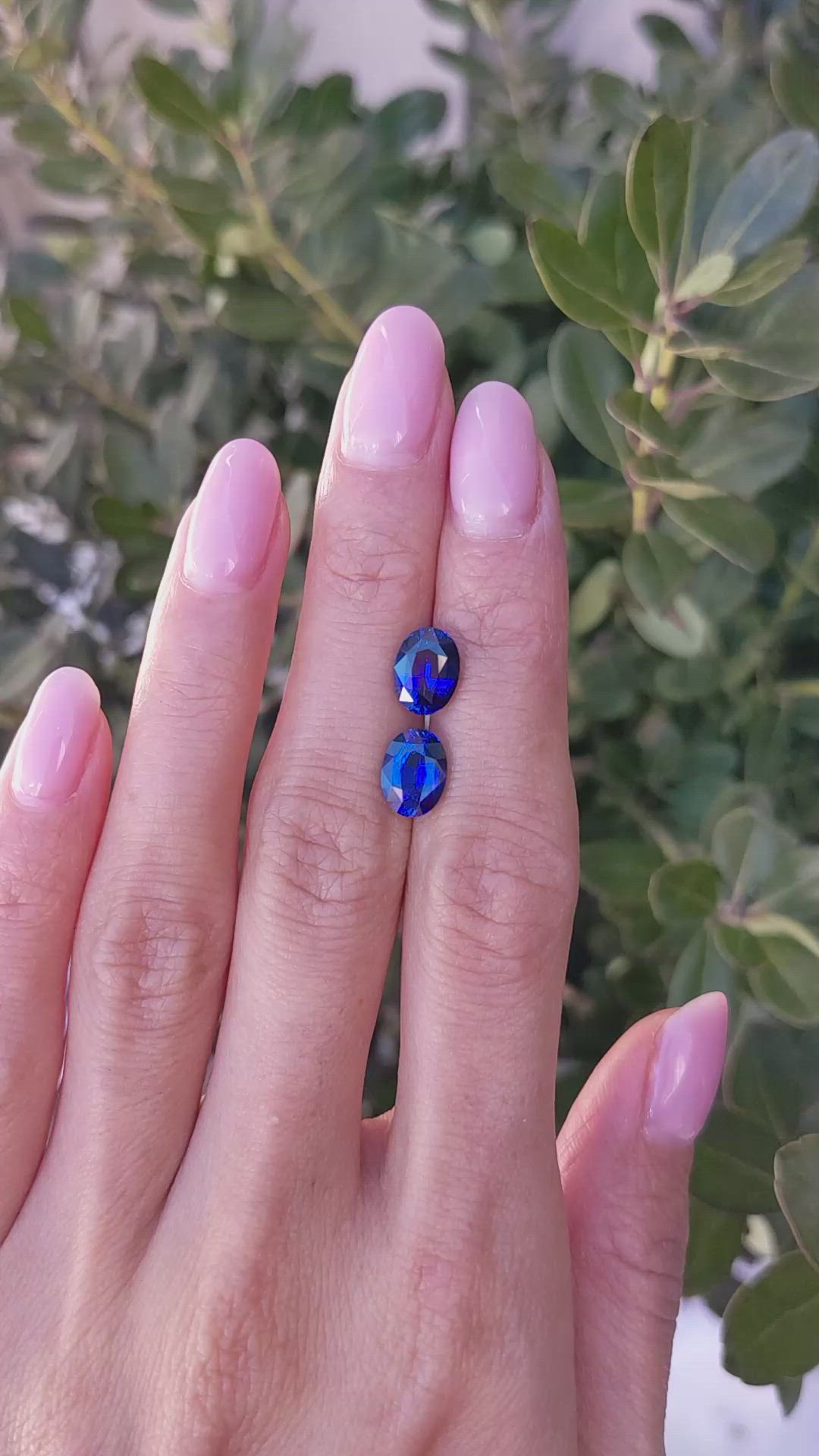 4.66 Ct.Tw.Total Carat Weight Blue Sapphire Pair from Ceylon (Sri Lanka) Size Video