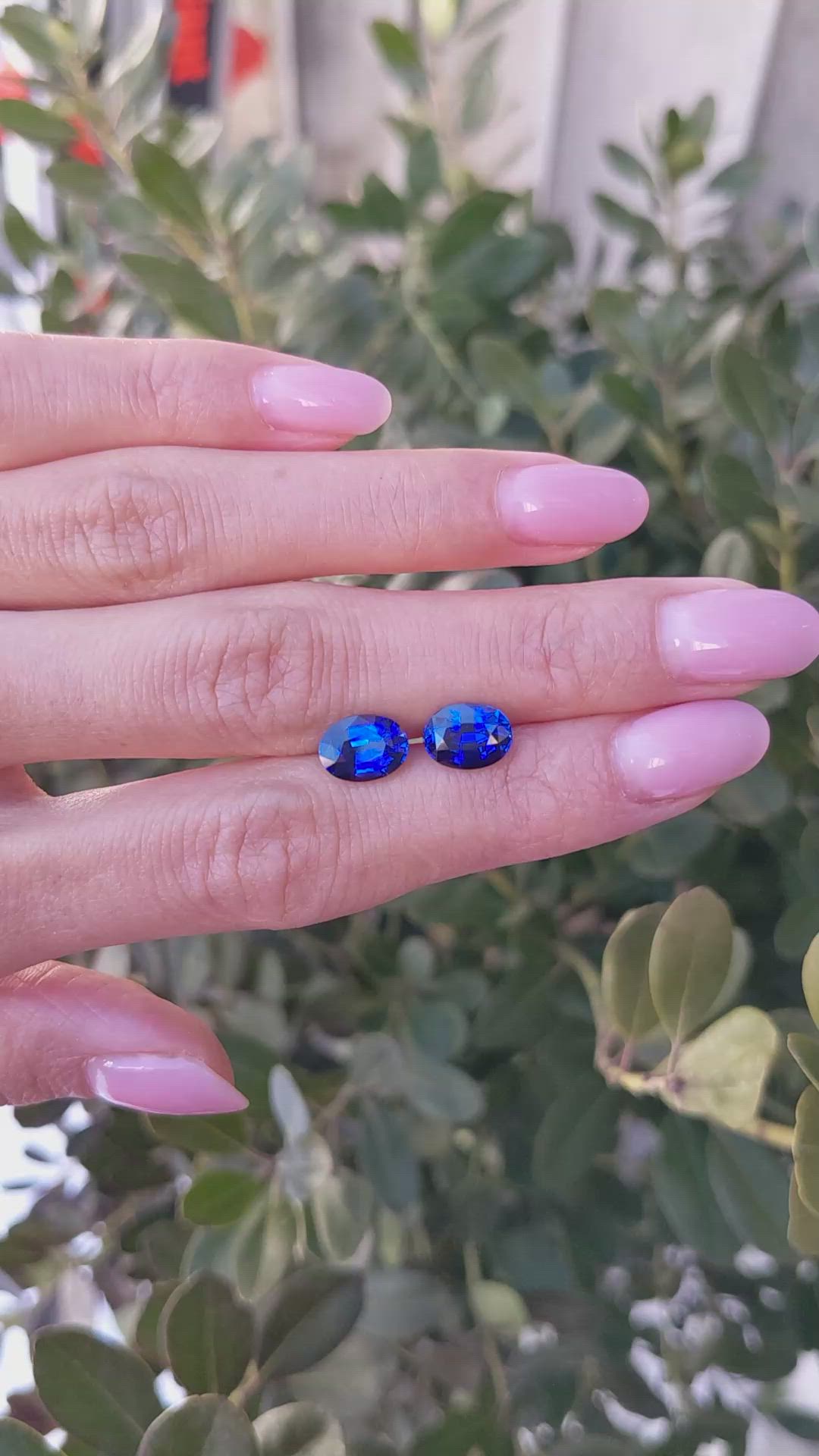 4.66 Ct.Tw.Total Carat Weight Blue Sapphire Pair from Ceylon (Sri Lanka) Size Video