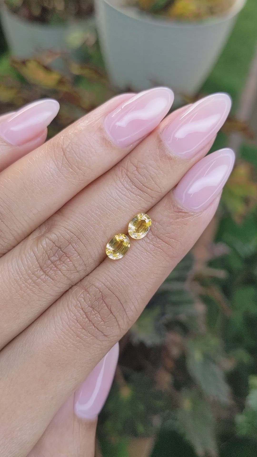 1.44 Ct.Tw.Total Carat Weight Yellow Sapphire Pair from Ceylon (Sri Lanka) Size Video