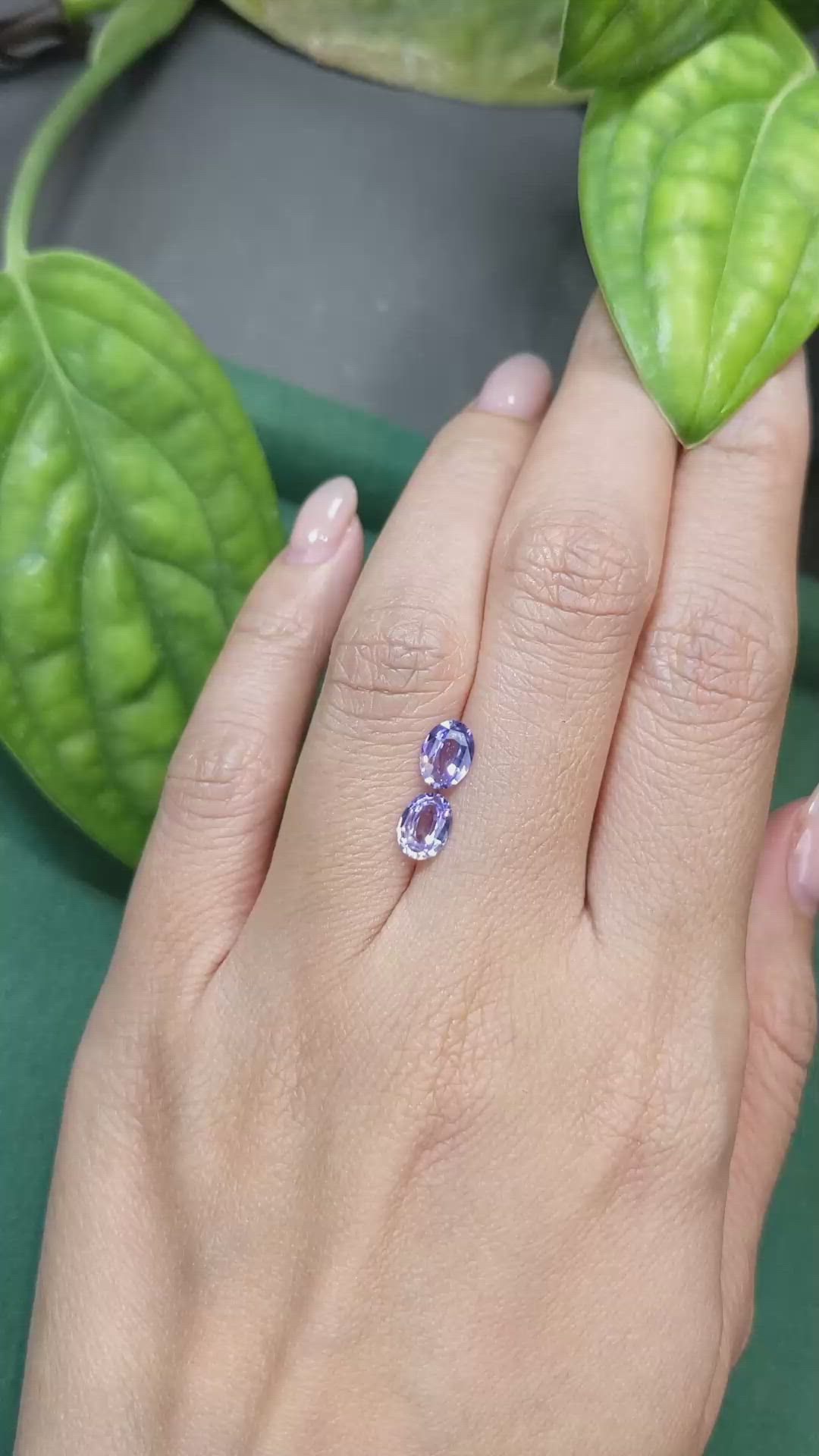 1.43&nbsp;Ct.Tw.Total Carat Weight Bluish Purple Sapphire Pair from Ceylon (Sri Lanka) Size Video