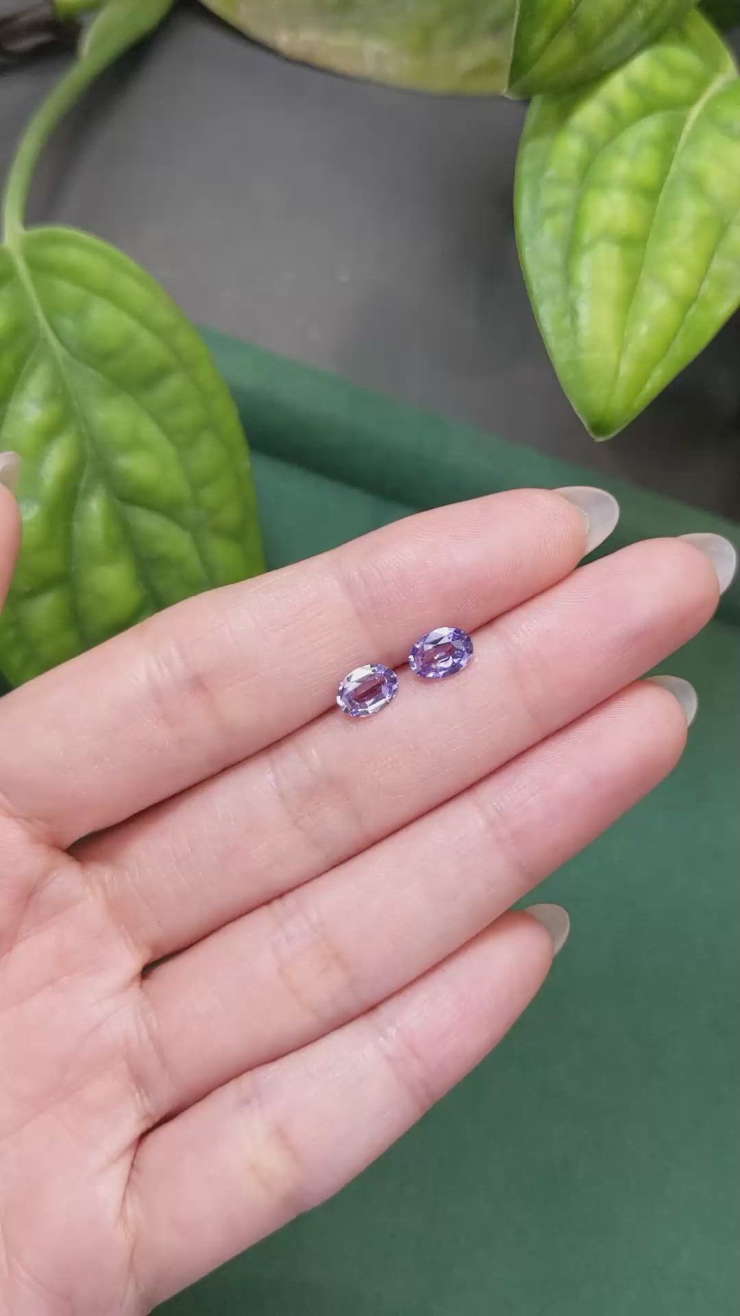 1.43&nbsp;Ct.Tw.Total Carat Weight Bluish Purple Sapphire Pair from Ceylon (Sri Lanka) Size Video