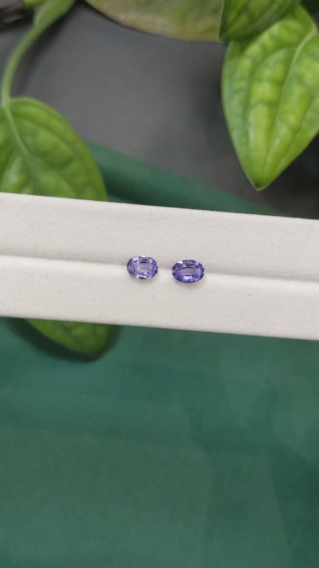 1.43&nbsp;Ct.Tw.Total Carat Weight Bluish Purple Sapphire Pair from Ceylon (Sri Lanka) Size Video