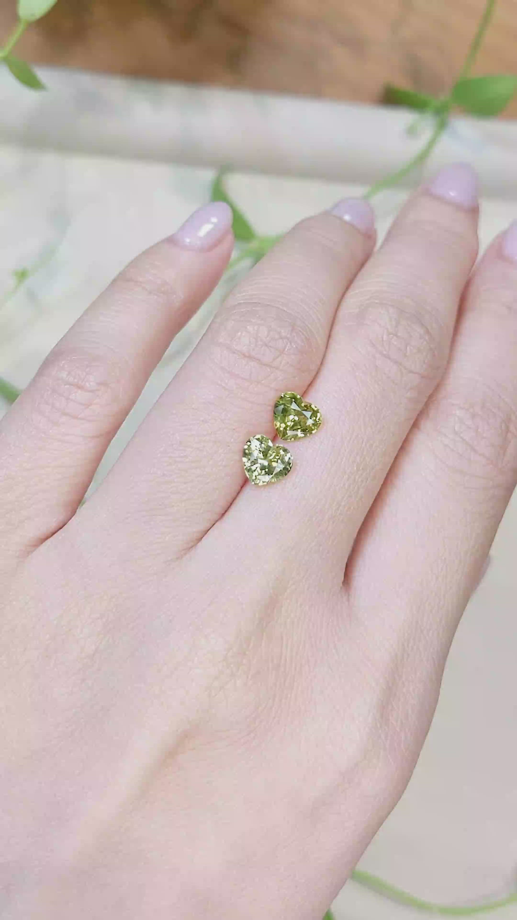 2.24 Ct.Tw.Total Carat Weight Yellowish Green Sapphire Pair from Ceylon (Sri Lanka) Size Video