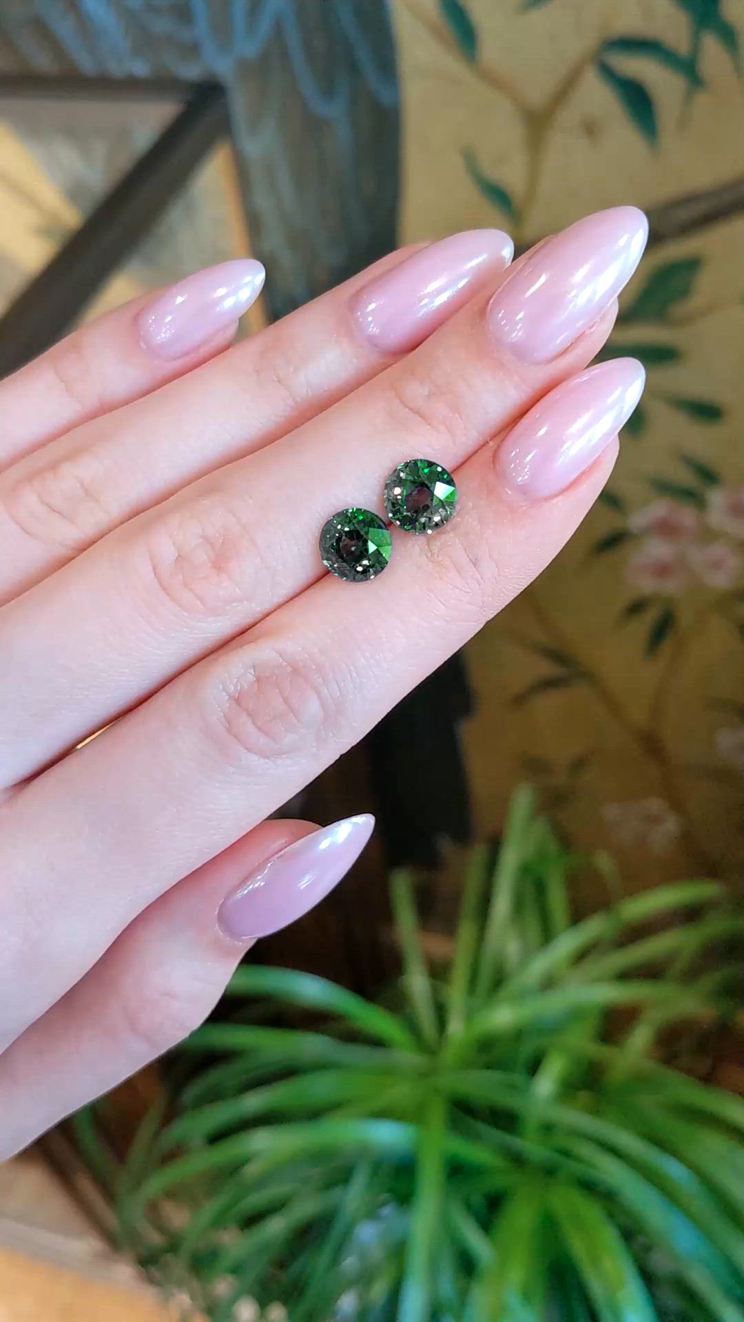 6.92 Ct.Tw.Total Carat Weight Yellowish Green Sapphire Pair from Ceylon (Sri Lanka) Size Video