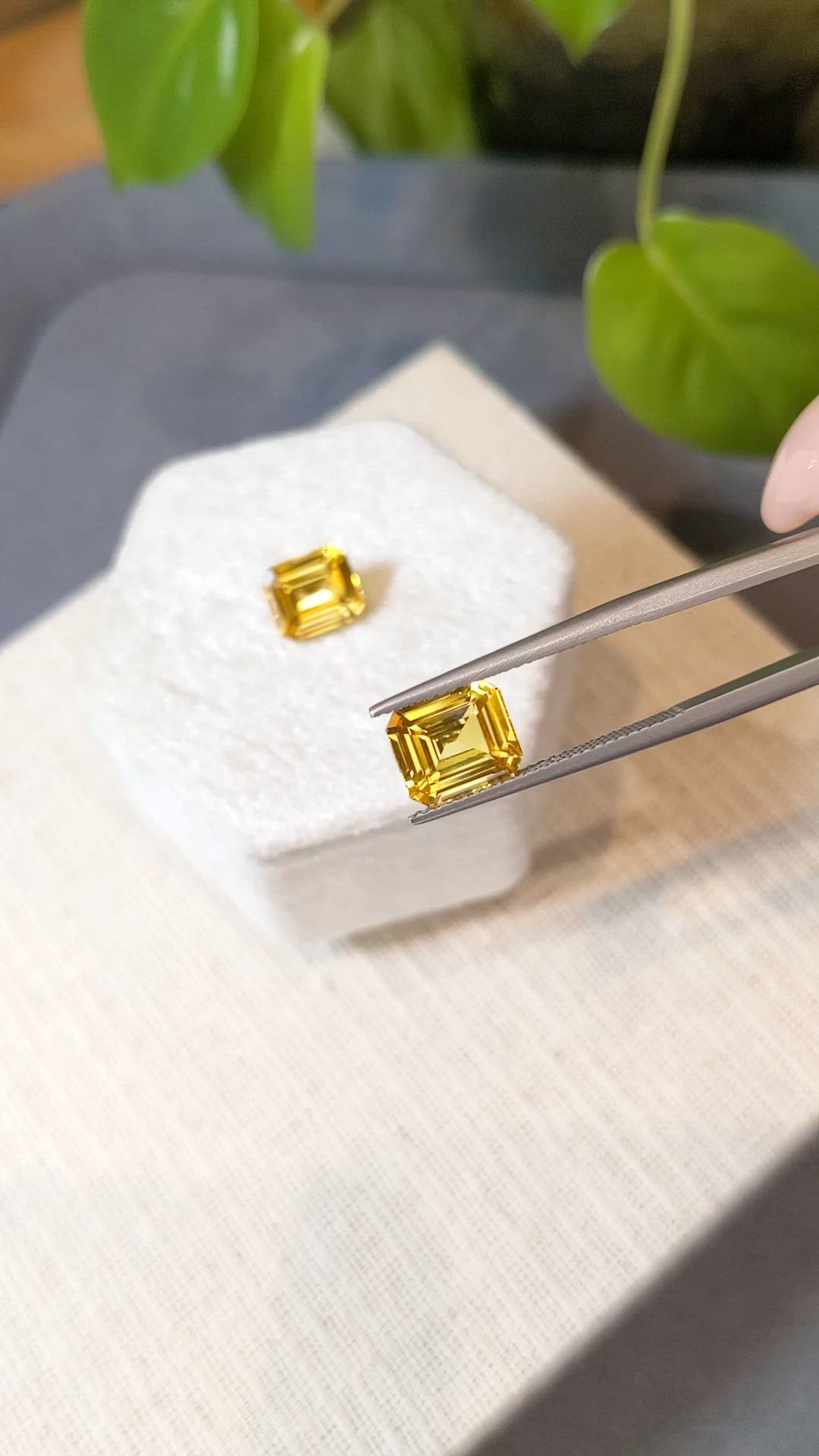 6.12&nbsp;Ct.Tw.Total Carat Weight Yellow Sapphire Pair from Ceylon (Sri Lanka) Size Video