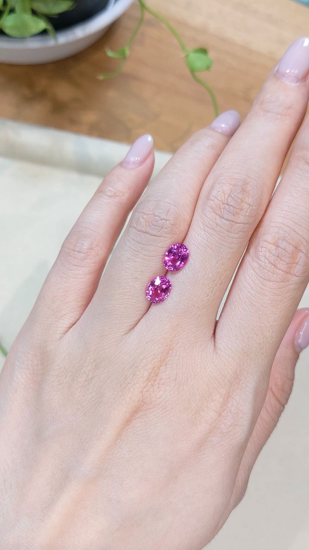 3.01 Ct.Tw.Total Carat Weight Purplish Pink Sapphire Pair from Ceylon (Sri Lanka) Size Video