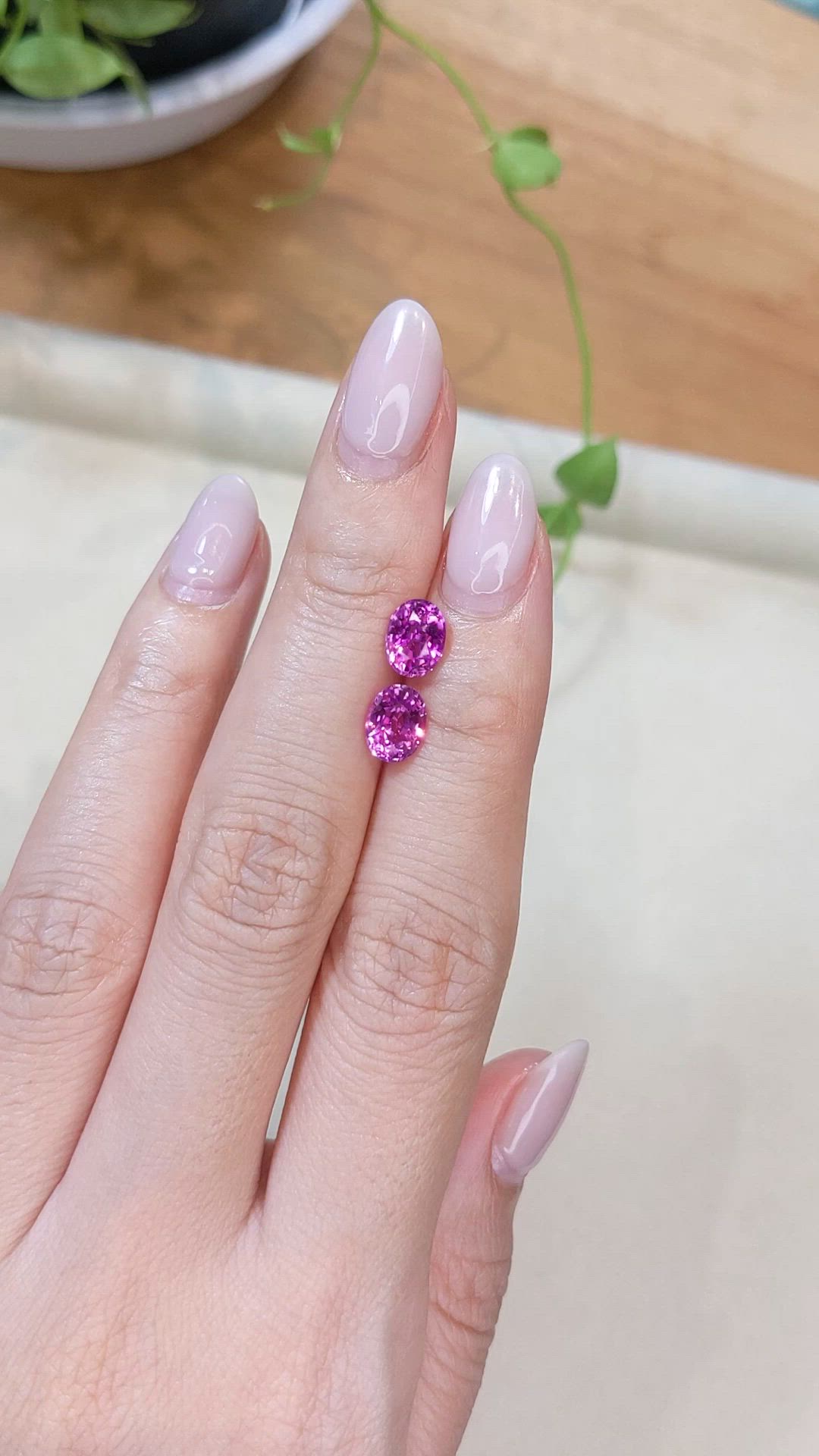 3.01 Ct.Tw.Total Carat Weight Purplish Pink Sapphire Pair from Ceylon (Sri Lanka) Size Video