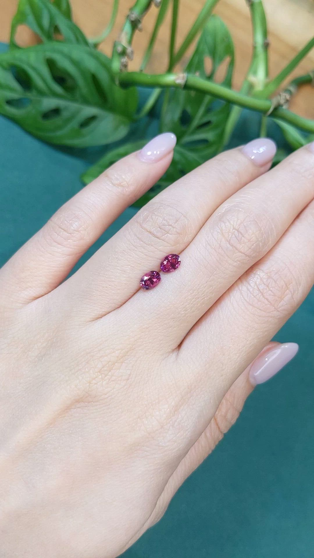 1.21&nbsp;Ct.Tw.Total Carat Weight Pinkish Purple Sapphire Pair from Ceylon (Sri Lanka) Size Video