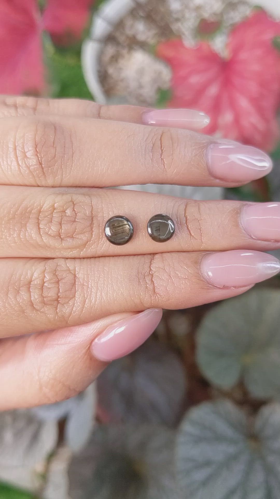 1.74 Ct.Tw.Total Carat Weight Brown Star Sapphire Pair from Ceylon (Sri Lanka) Size Video