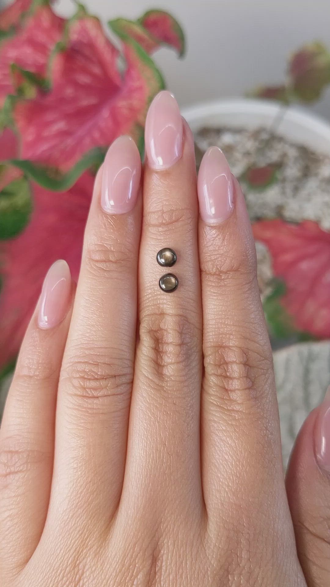 0.84 Ct.Tw.Total Carat Weight Black Star Sapphire Pair from Ceylon (Sri Lanka) Size Video