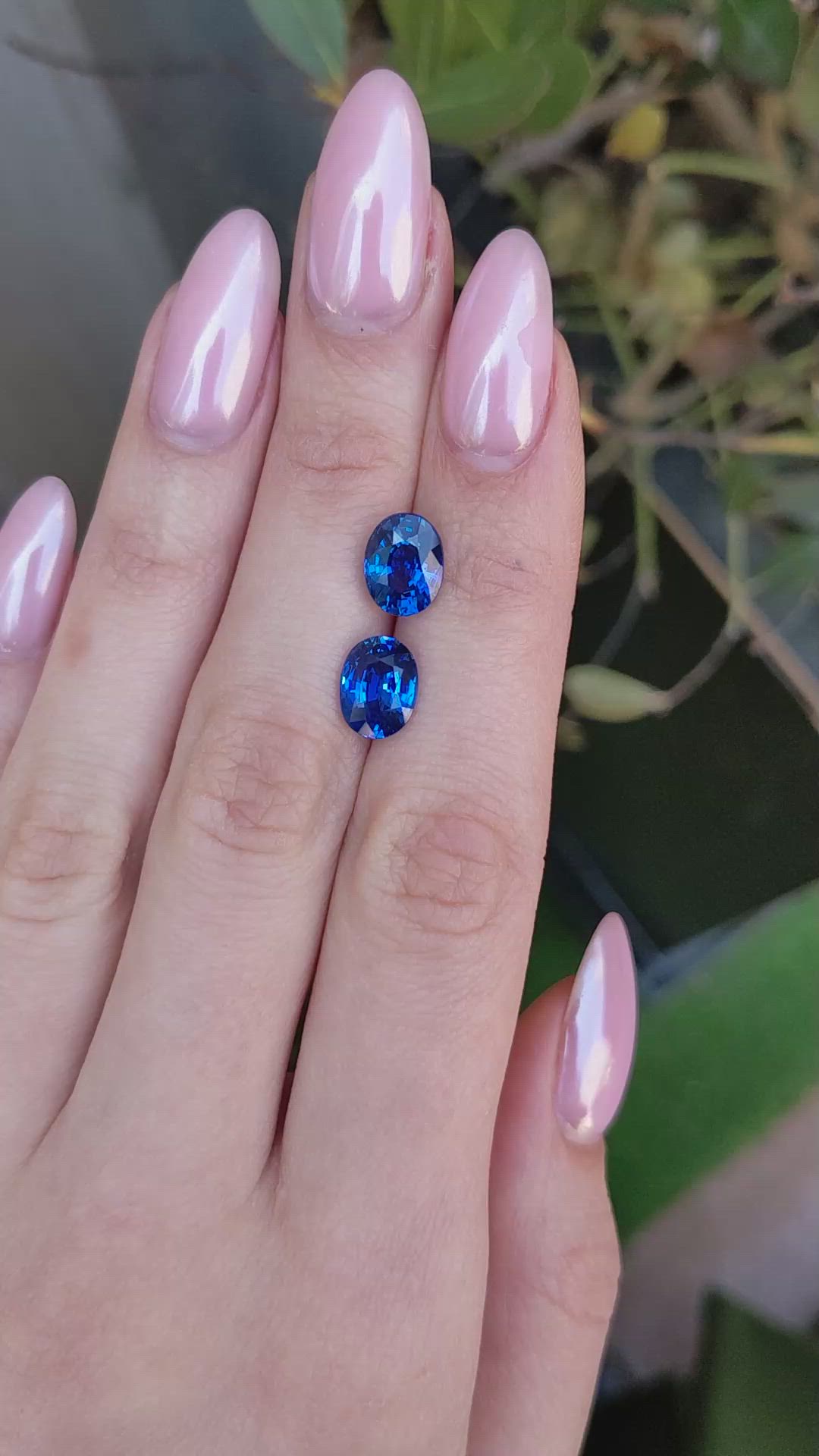 6.03&nbsp;Ct.Tw.Total Carat Weight Blue Sapphire Pair from Ceylon (Sri Lanka) Size Video
