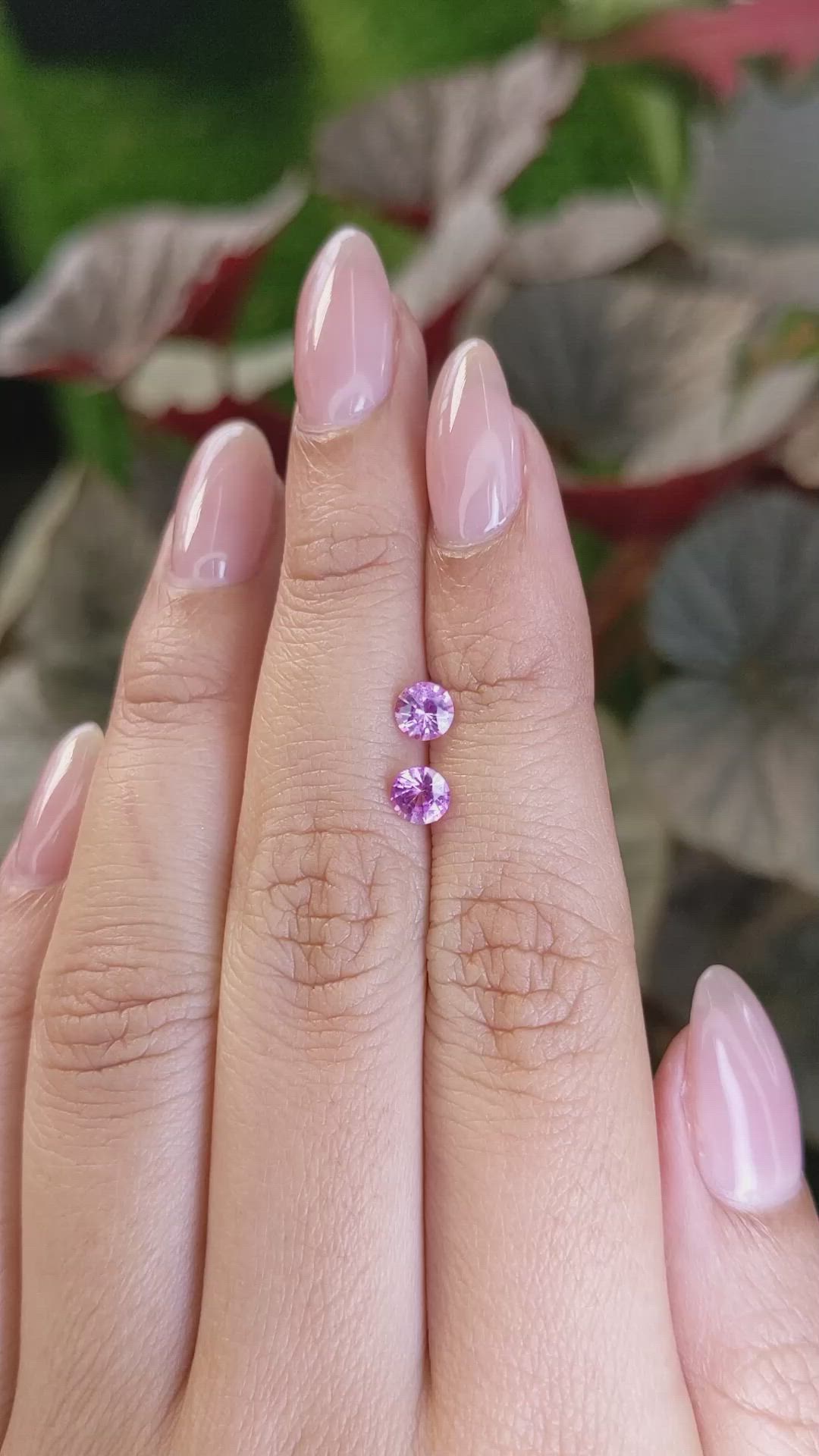 0.91 Ct.Tw.Total Carat Weight Purplish Pink Sapphire Pair from Ceylon (Sri Lanka) Size Video