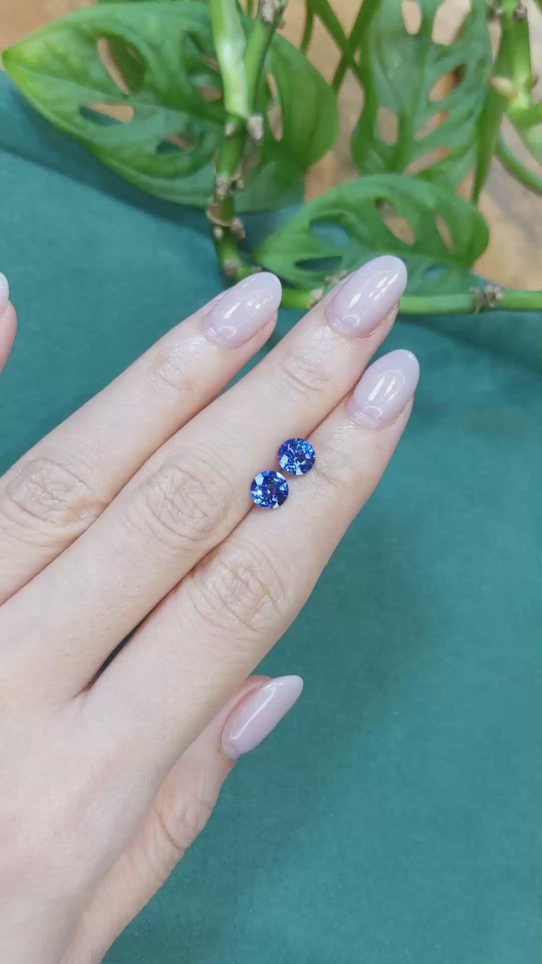 2.04 Ct.Tw.Total Carat Weight Blue Sapphire Pair from Ceylon (Sri Lanka) Size Video