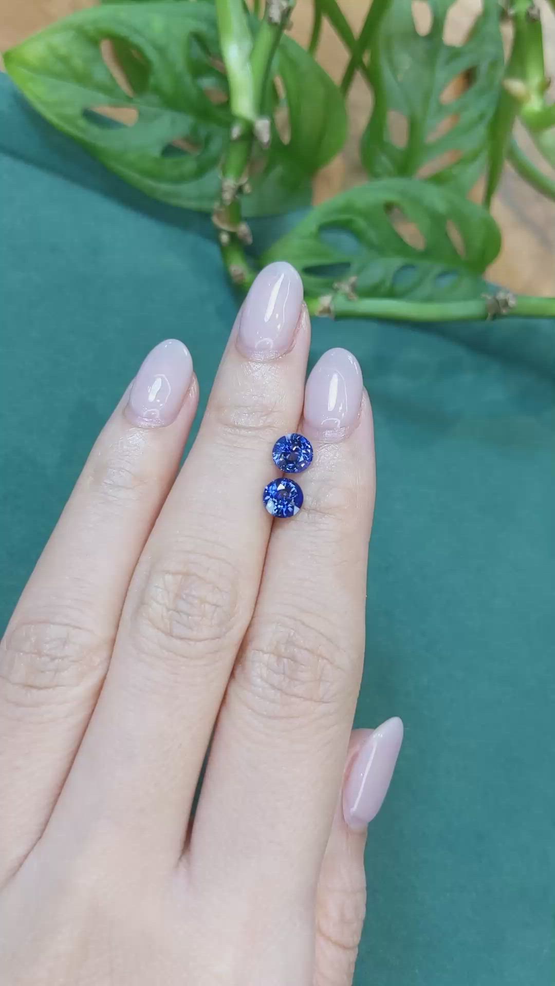 2.29 Ct.Tw.Total Carat Weight Blue Sapphire Pair from Ceylon (Sri Lanka) Size Video