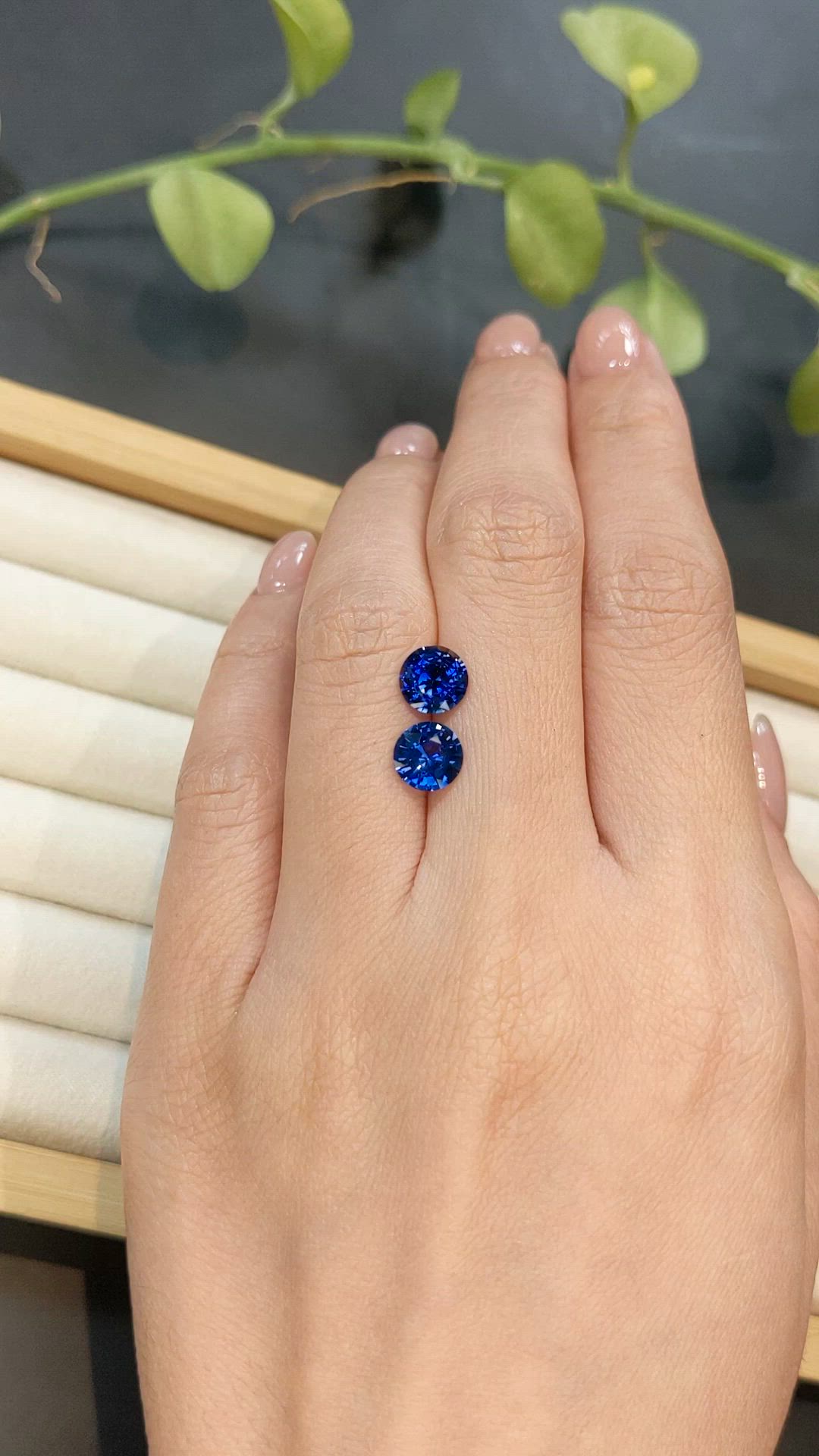 2.91&nbsp;Ct.Tw.Total Carat Weight Blue Sapphire Pair from Ceylon (Sri Lanka) Size Video