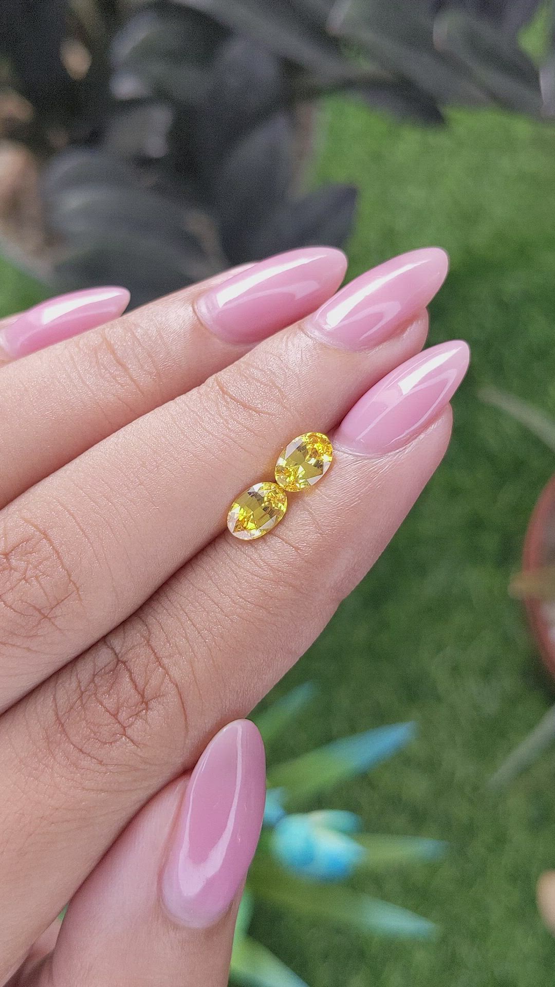 1.63 Ct.Tw.Total Carat Weight Orangish Yellow Sapphire Pair from Ceylon (Sri Lanka) Size Video