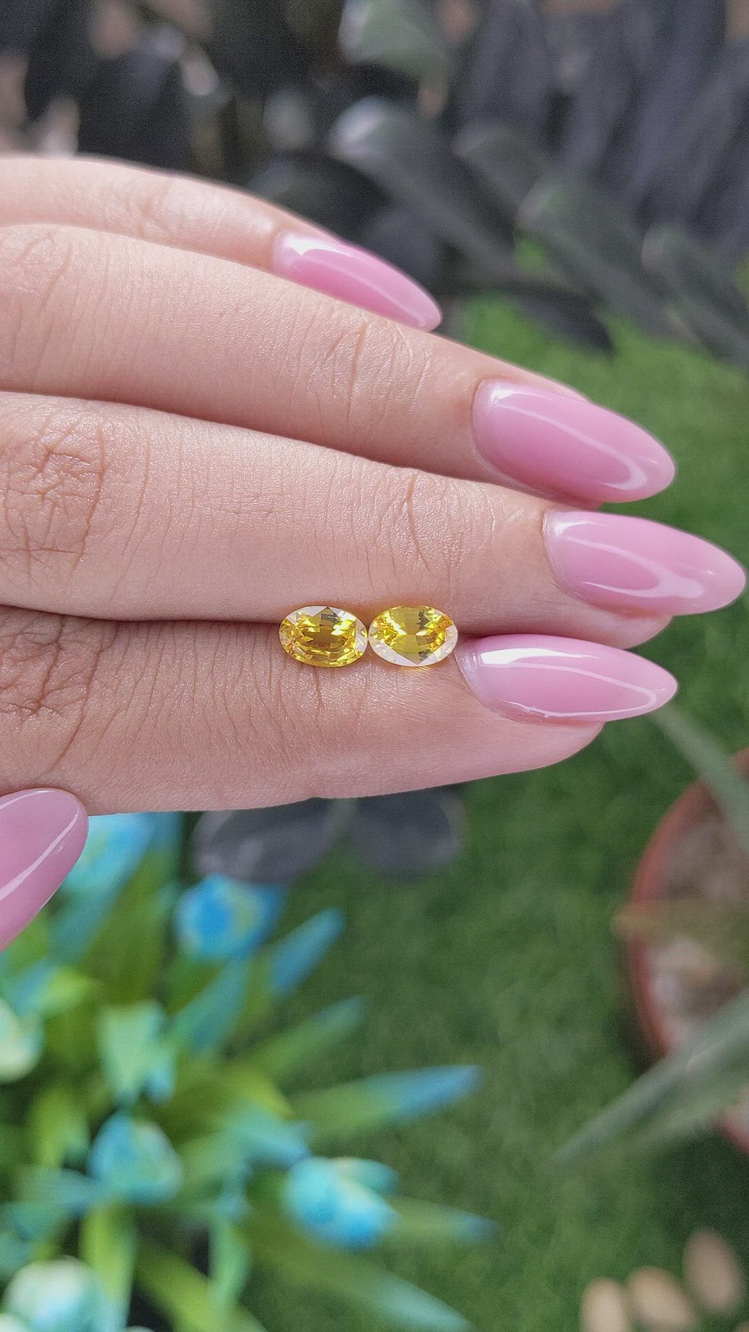 1.63 Ct.Tw.Total Carat Weight Orangish Yellow Sapphire Pair from Ceylon (Sri Lanka) Size Video