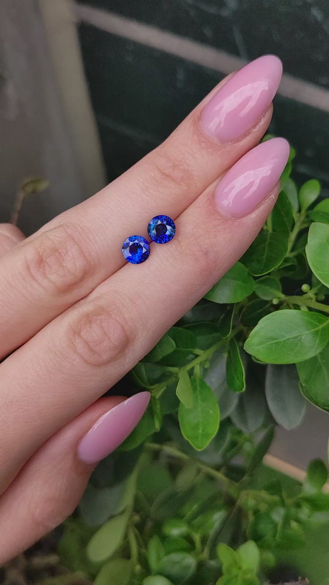 2.18 Ct.Tw.Total Carat Weight Blue Sapphire Pair from Ceylon (Sri Lanka) Size Video