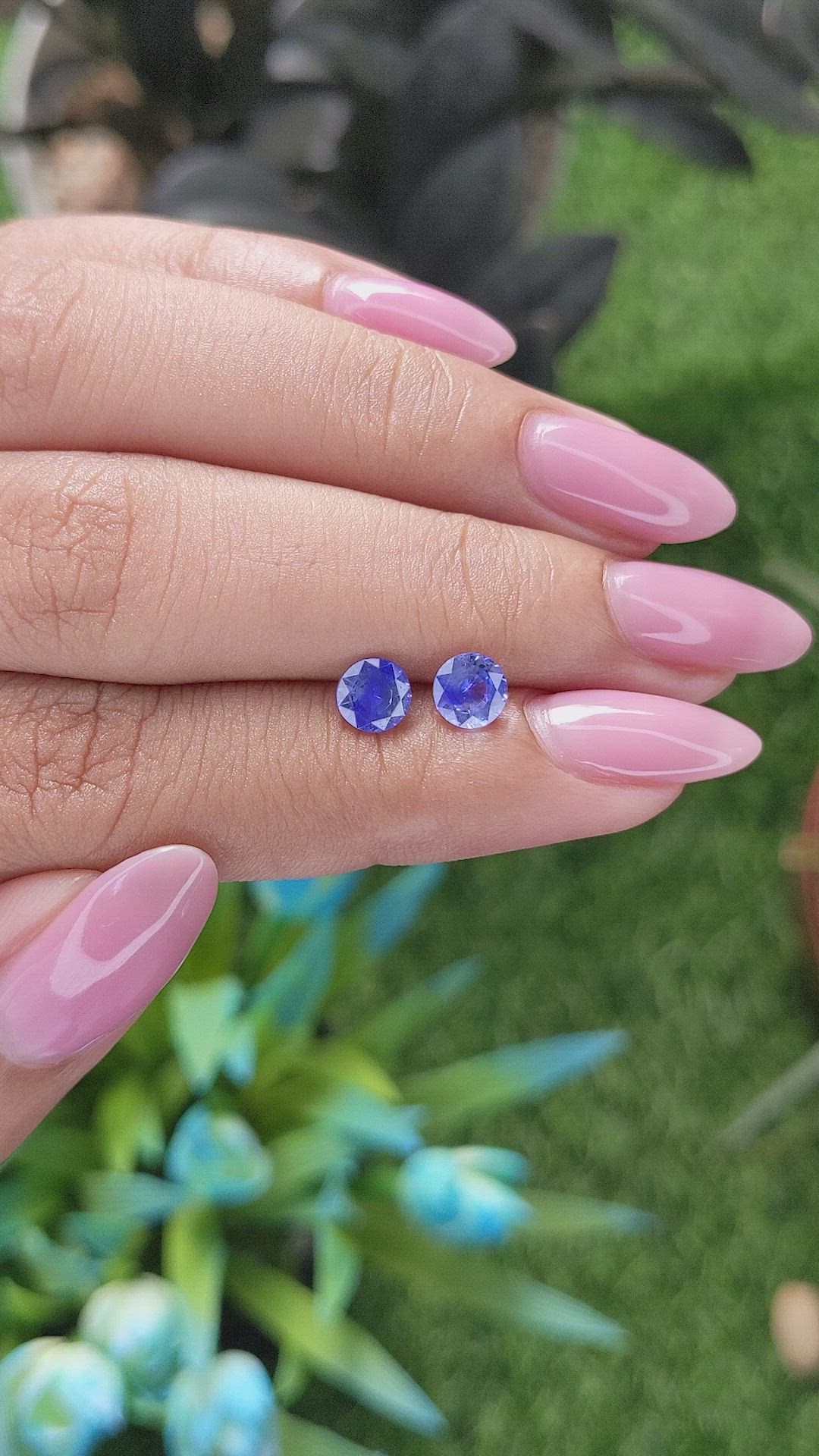 1.38&nbsp;Ct.Tw.Total Carat Weight Bi Color Sapphire Pair from Ceylon (Sri Lanka) Size Video