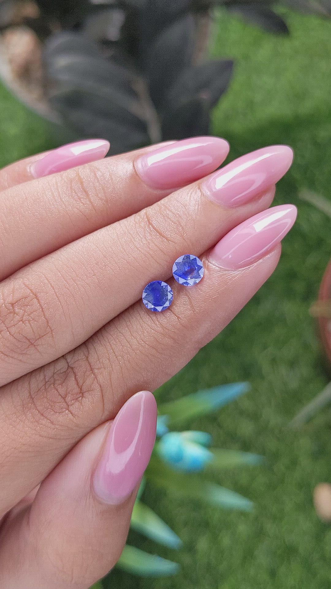 1.38&nbsp;Ct.Tw.Total Carat Weight Bi Color Sapphire Pair from Ceylon (Sri Lanka) Size Video