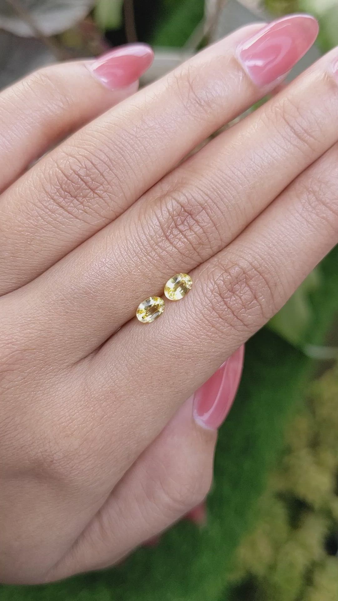 0.97 Ct.Tw.Total Carat Weight Yellow Sapphire Pair from Ceylon (Sri Lanka) Size Video