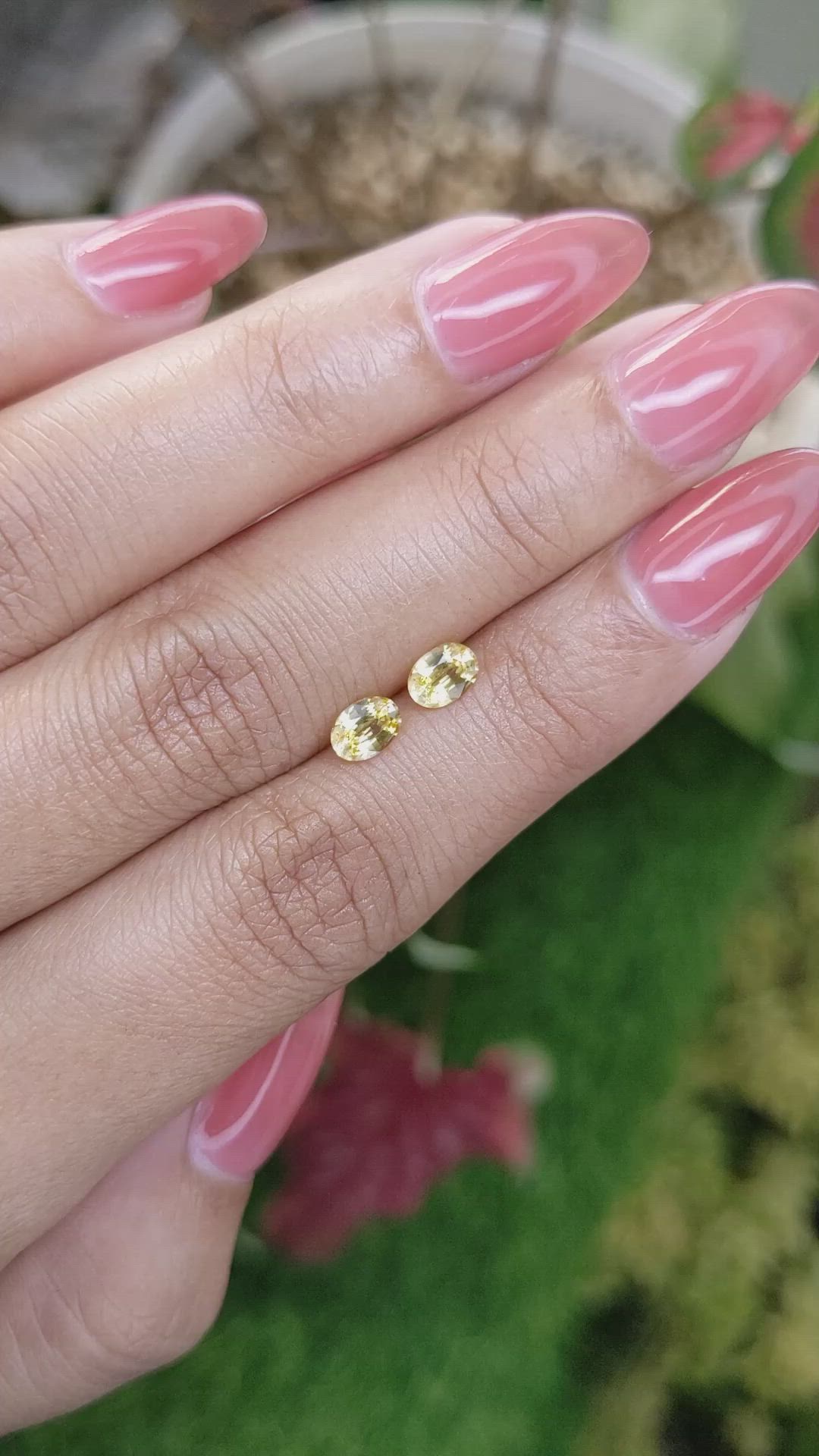 0.97 Ct.Tw.Total Carat Weight Yellow Sapphire Pair from Ceylon (Sri Lanka) Size Video