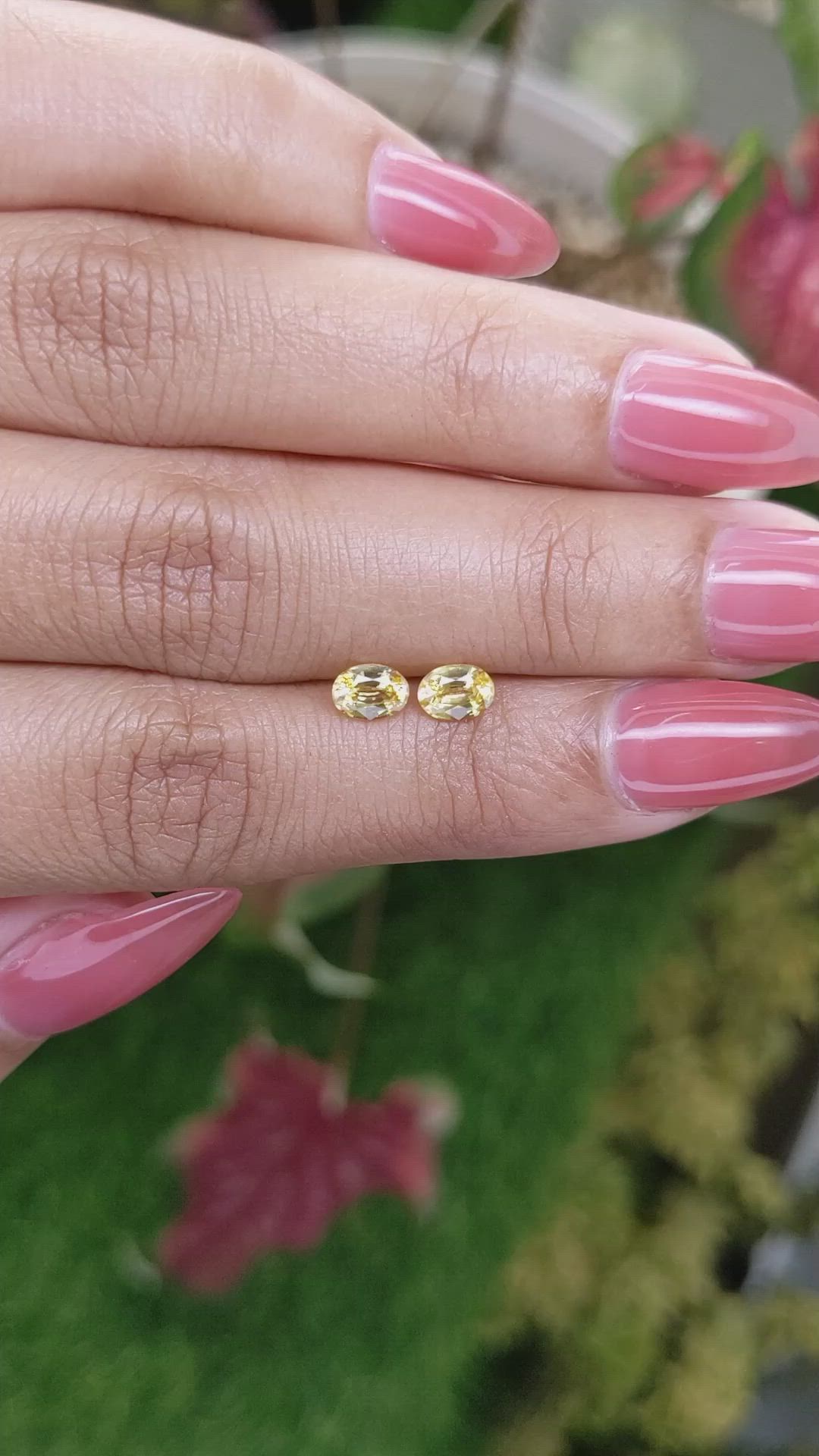 0.97 Ct.Tw.Total Carat Weight Yellow Sapphire Pair from Ceylon (Sri Lanka) Size Video