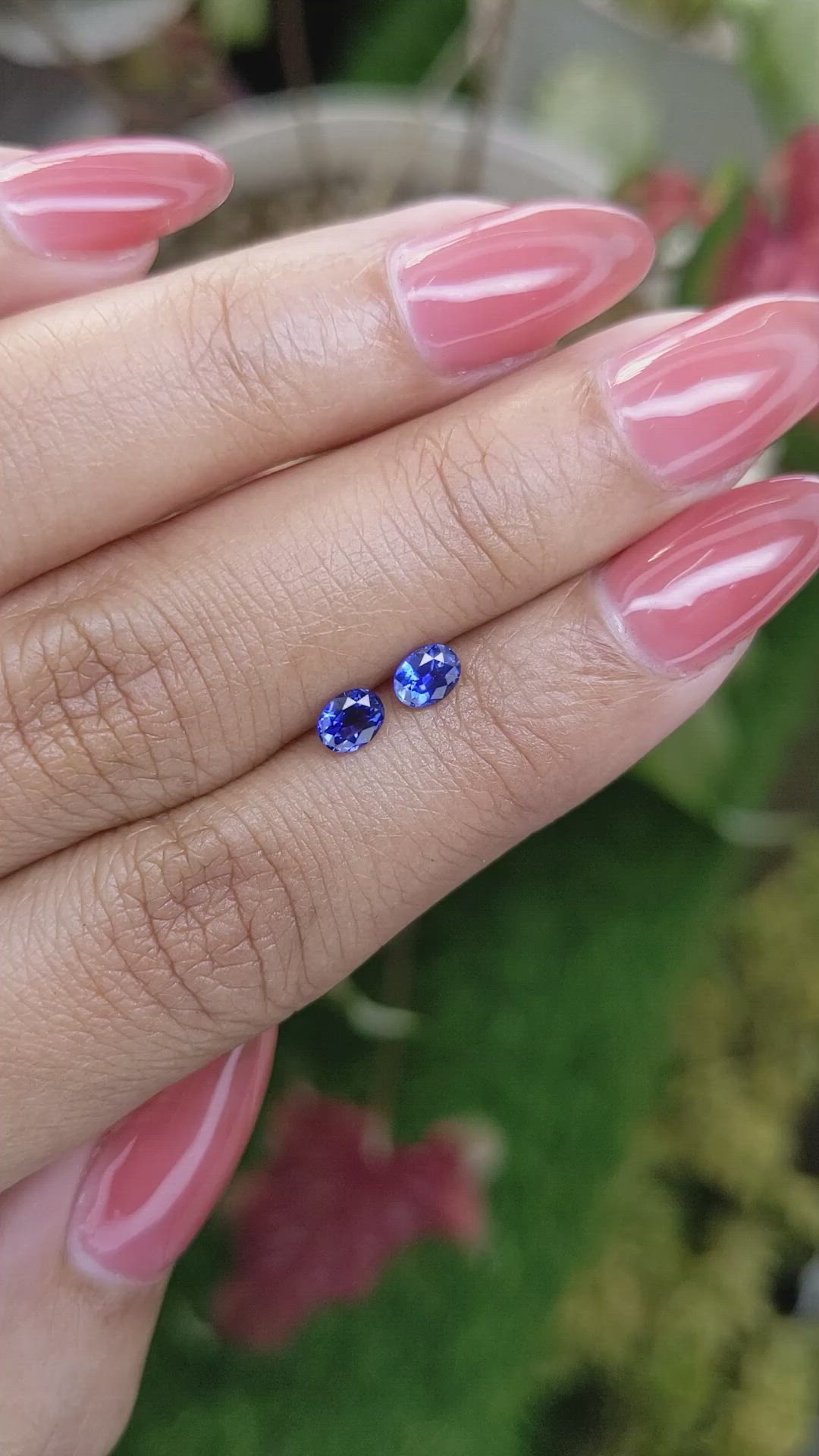 0.68 Ct.Tw.Total Carat Weight Blue Sapphire Pair from Ceylon (Sri Lanka) Size Video