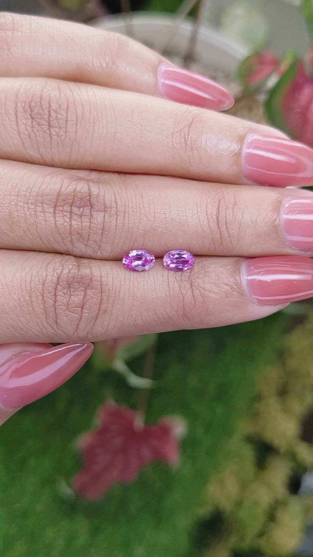 0.92 Ct.Tw.Total Carat Weight Purplish Pink Sapphire Pair from Ceylon (Sri Lanka) Size Video