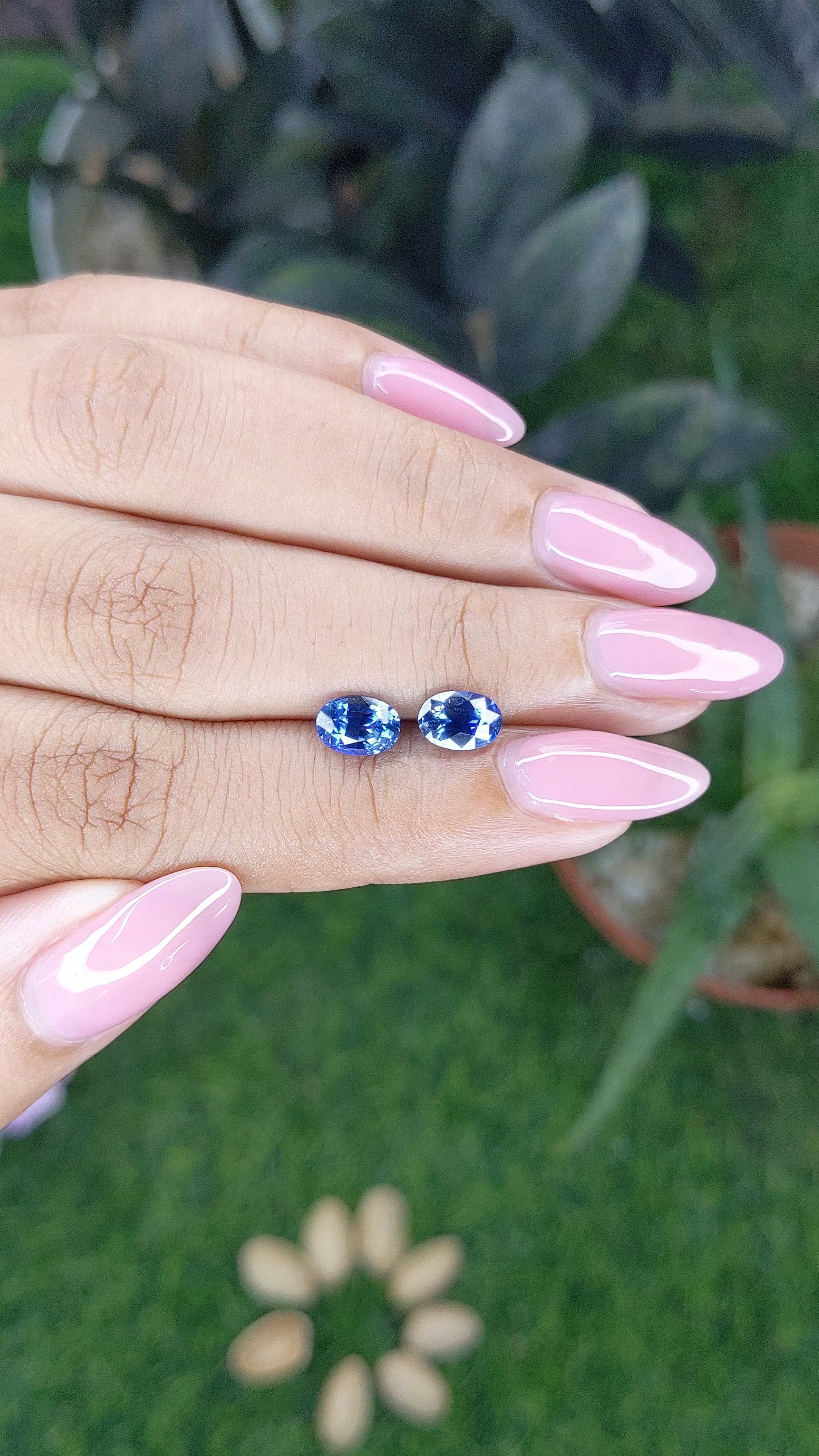 2.10 Ct.Tw.Total Carat Weight Blue Sapphire Pair from Ceylon (Sri Lanka) Size Video