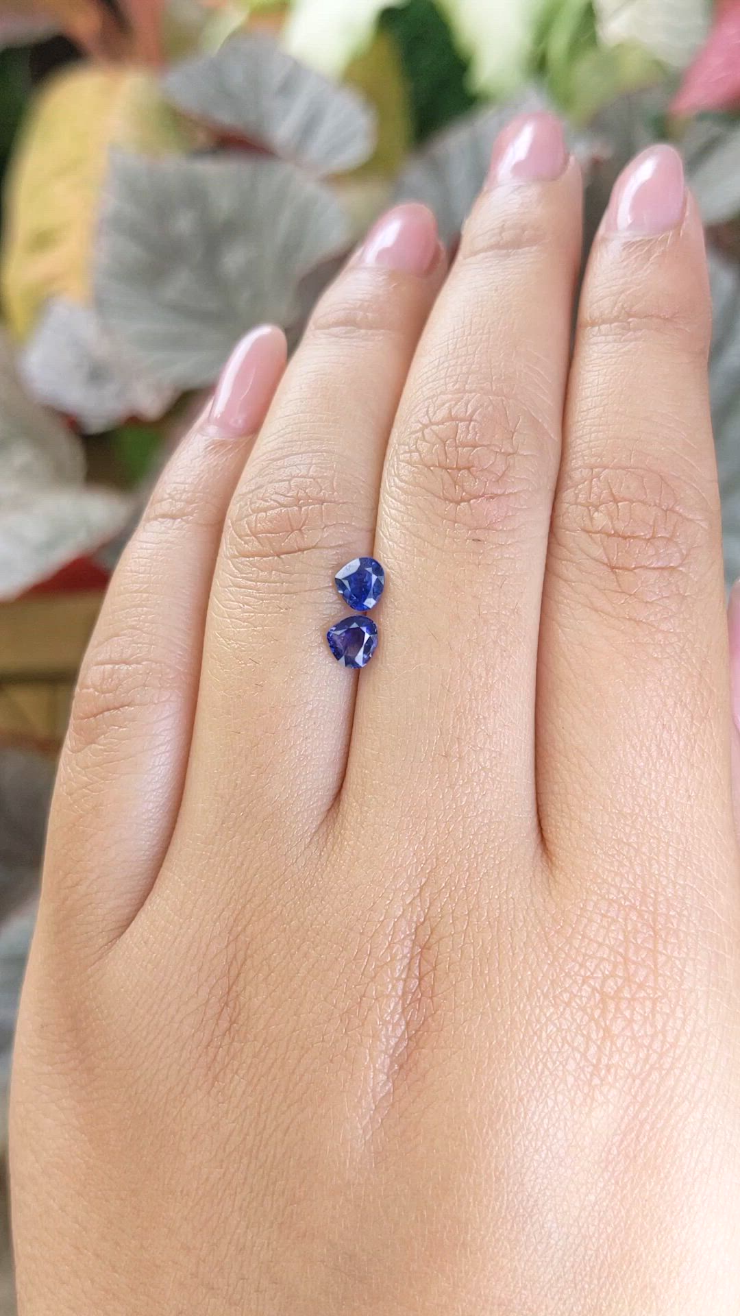 0.97 Ct.Tw.Total Carat Weight Blue Sapphire Pair from Ceylon (Sri Lanka) Size Video