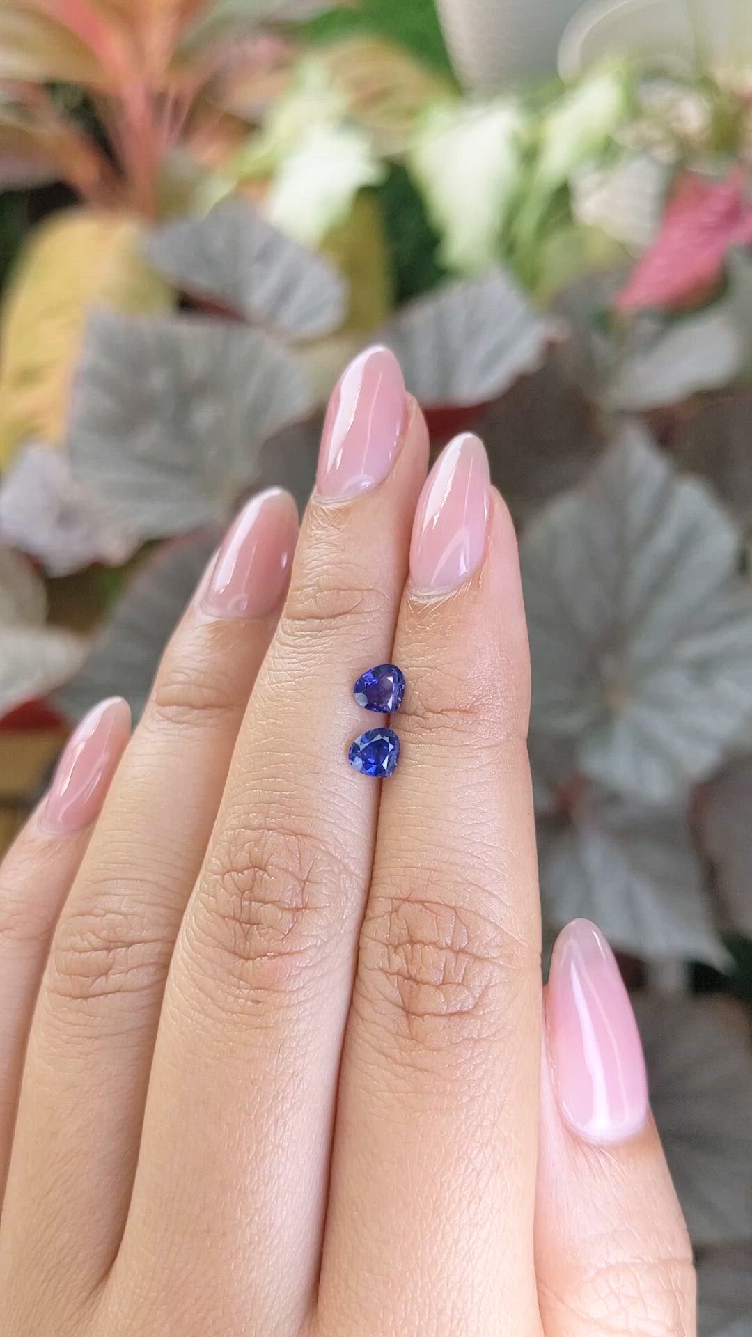 0.97 Ct.Tw.Total Carat Weight Blue Sapphire Pair from Ceylon (Sri Lanka) Size Video