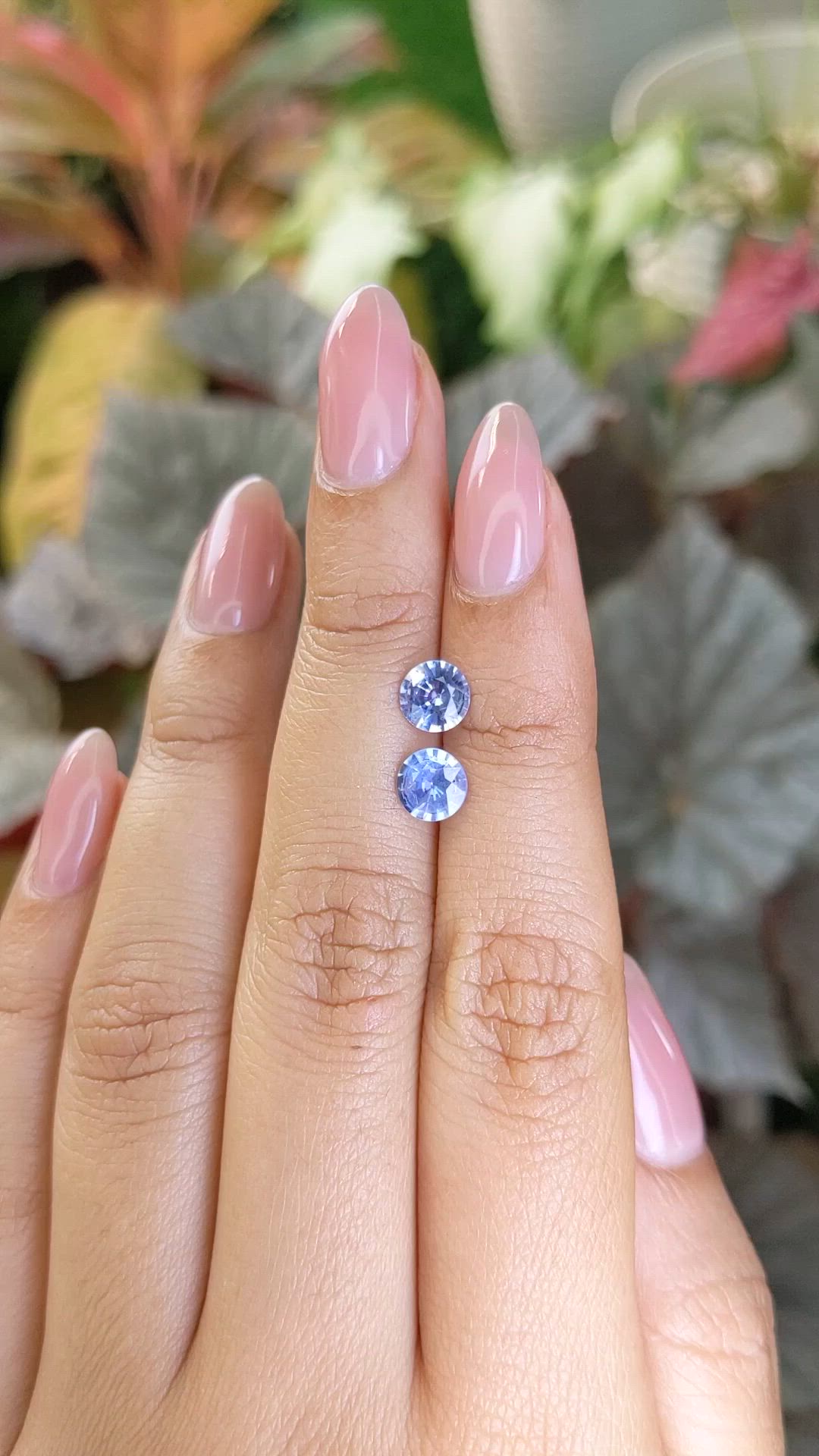 1.84&nbsp;Ct.Tw.Total Carat Weight Blue Sapphire Pair from Ceylon (Sri Lanka) Size Video
