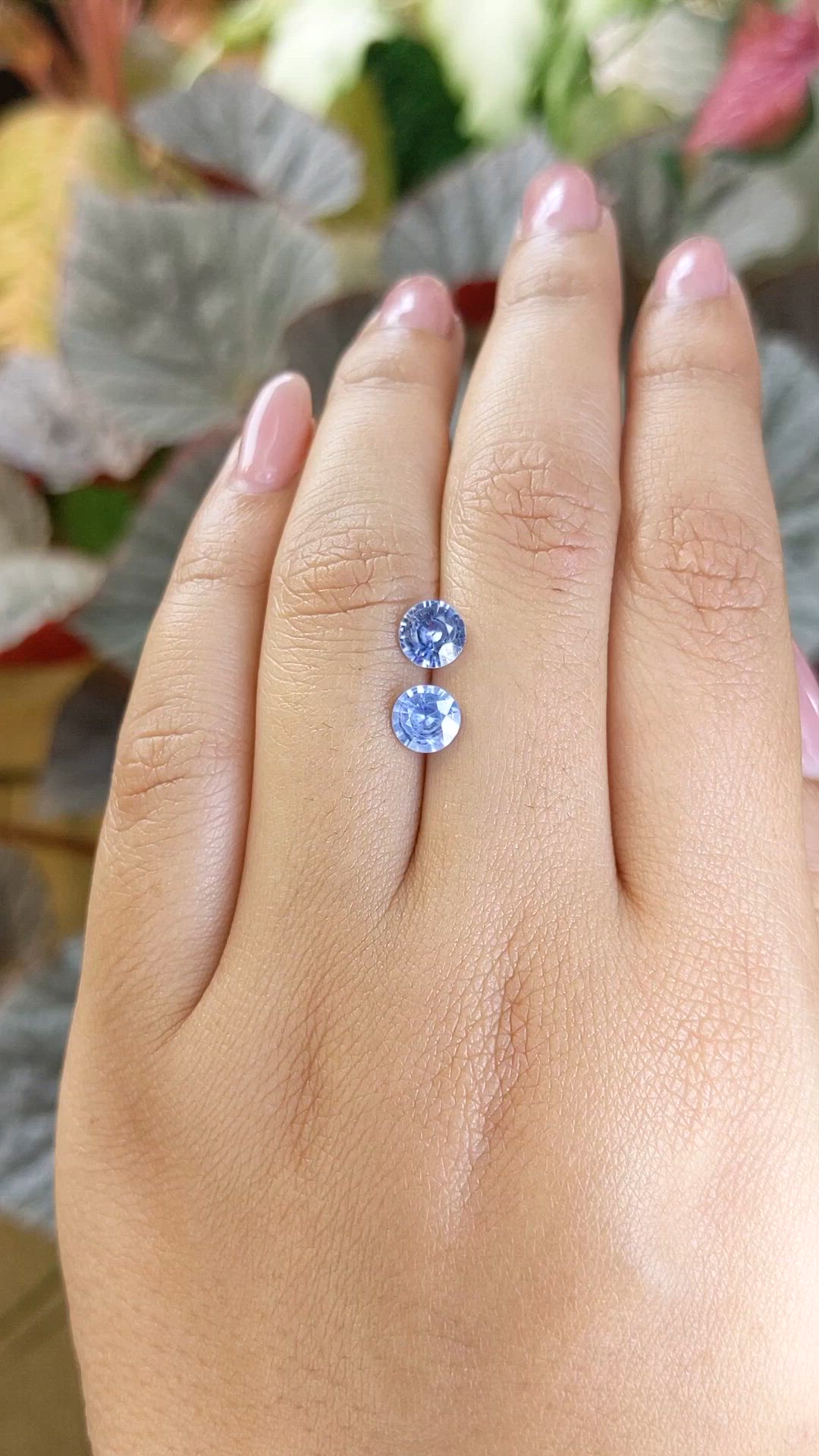 1.84&nbsp;Ct.Tw.Total Carat Weight Blue Sapphire Pair from Ceylon (Sri Lanka) Size Video
