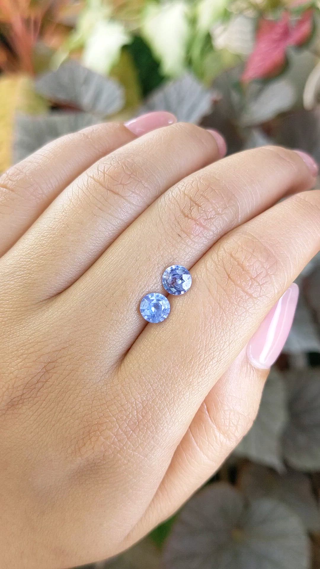 1.84&nbsp;Ct.Tw.Total Carat Weight Blue Sapphire Pair from Ceylon (Sri Lanka) Size Video