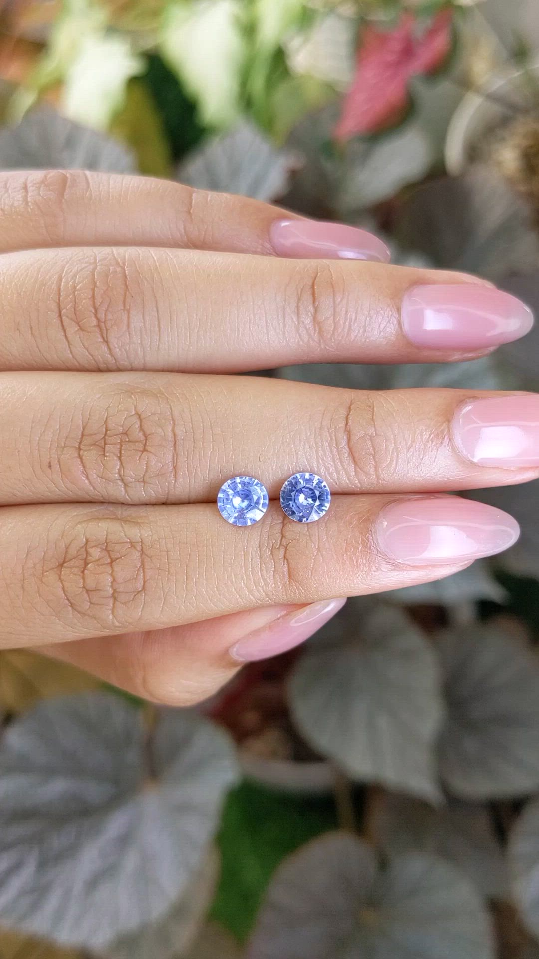 1.84&nbsp;Ct.Tw.Total Carat Weight Blue Sapphire Pair from Ceylon (Sri Lanka) Size Video
