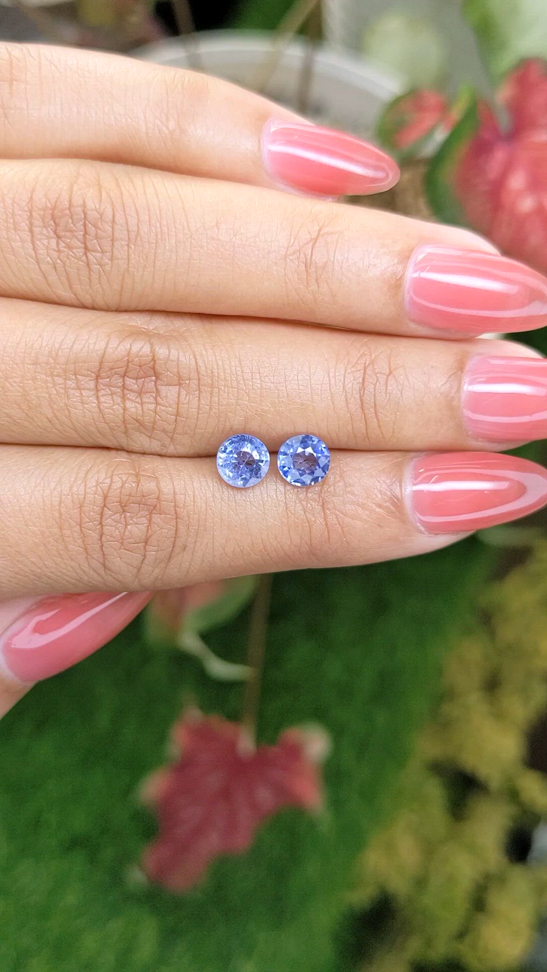 2.26 Ct.Tw.Total Carat Weight Blue Sapphire Pair from Ceylon (Sri Lanka) Size Video