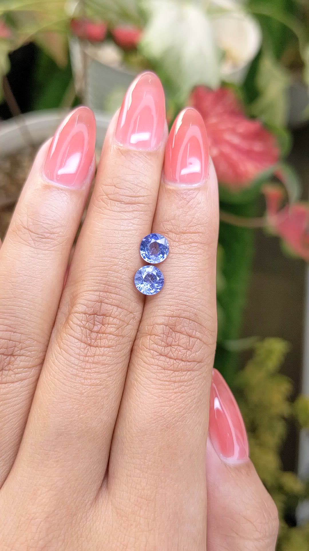 2.26 Ct.Tw.Total Carat Weight Blue Sapphire Pair from Ceylon (Sri Lanka) Size Video