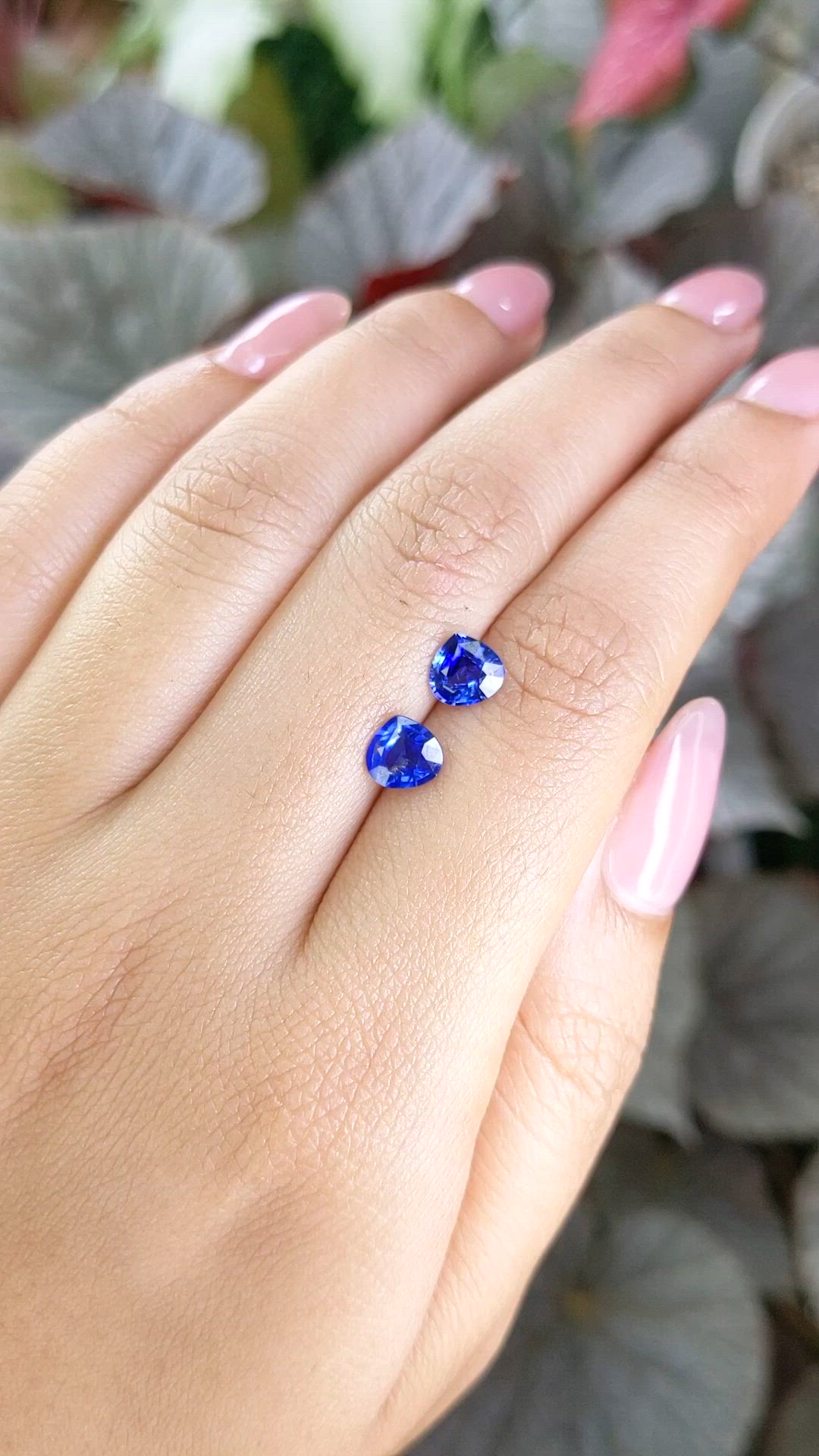 1.87 Ct.Tw.Total Carat Weight Blue Sapphire Pair from Ceylon (Sri Lanka) Size Video