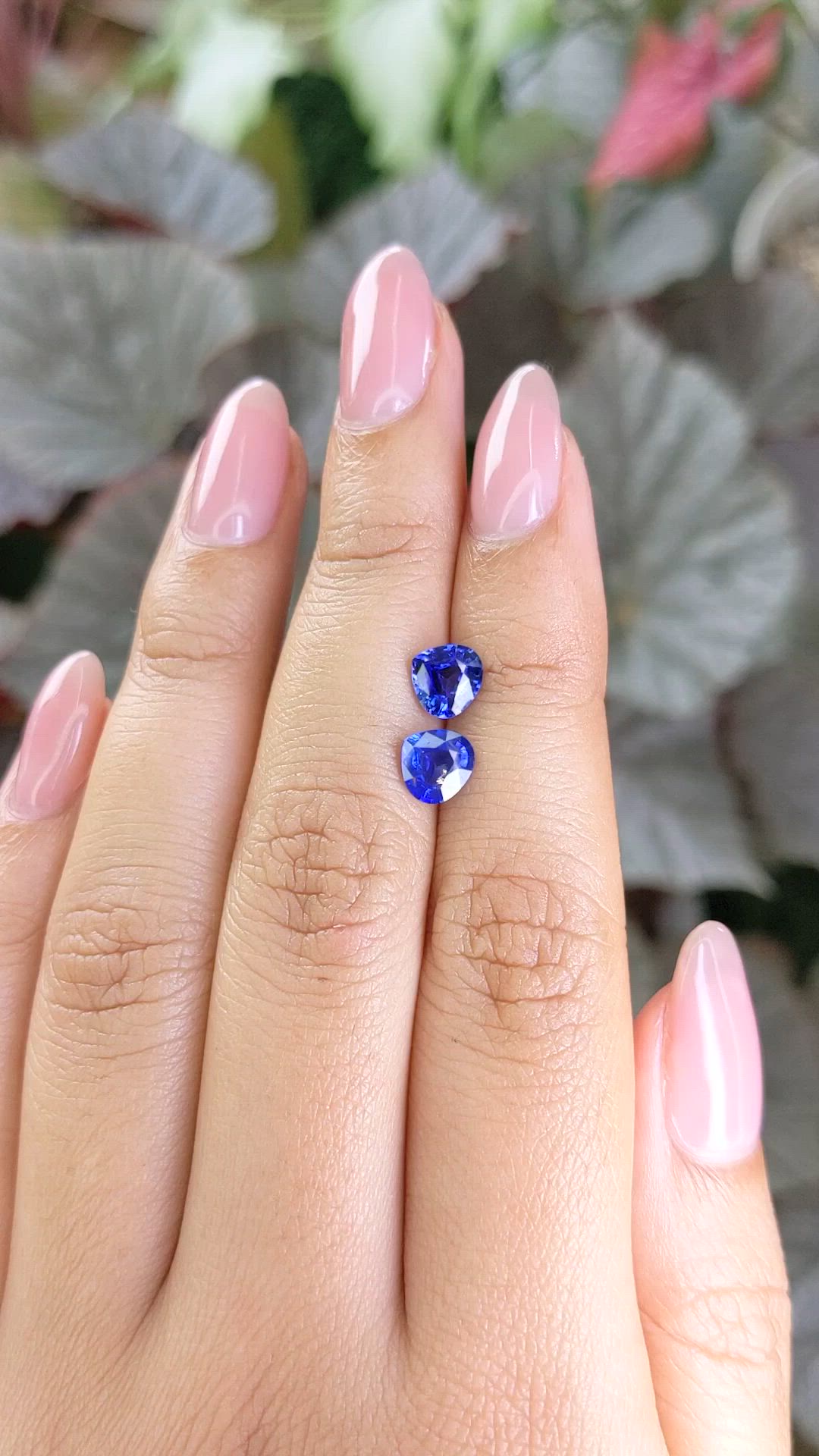 1.87 Ct.Tw.Total Carat Weight Blue Sapphire Pair from Ceylon (Sri Lanka) Size Video