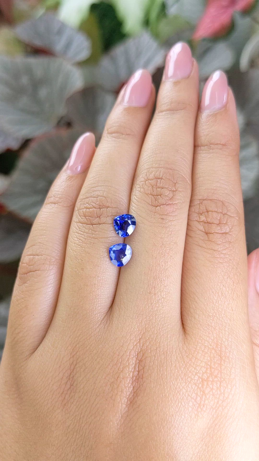 1.87 Ct.Tw.Total Carat Weight Blue Sapphire Pair from Ceylon (Sri Lanka) Size Video