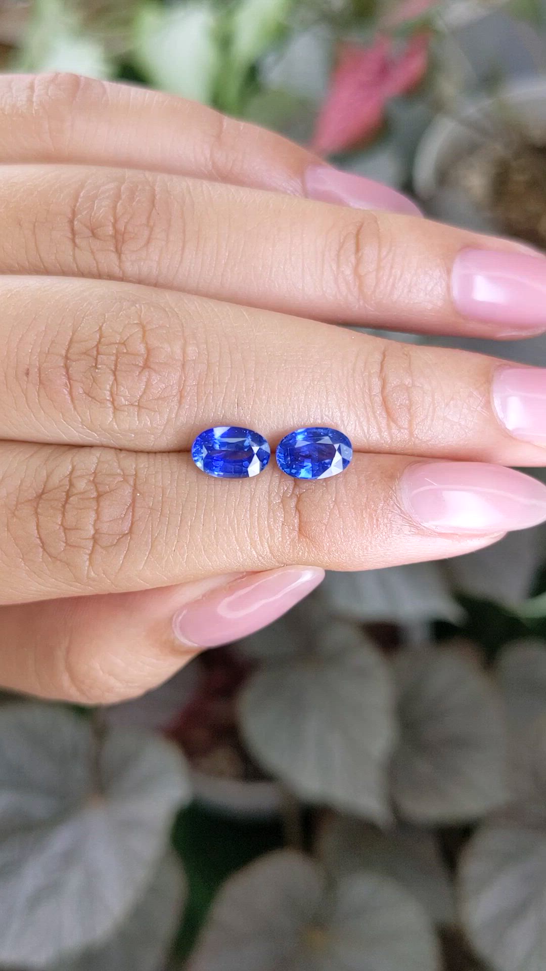 2.78 Ct.Tw.Total Carat Weight Blue Sapphire Pair from Ceylon (Sri Lanka) Size Video