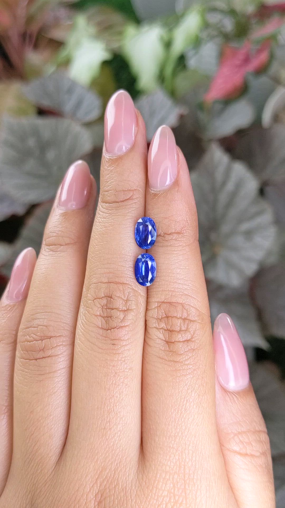 2.78 Ct.Tw.Total Carat Weight Blue Sapphire Pair from Ceylon (Sri Lanka) Size Video